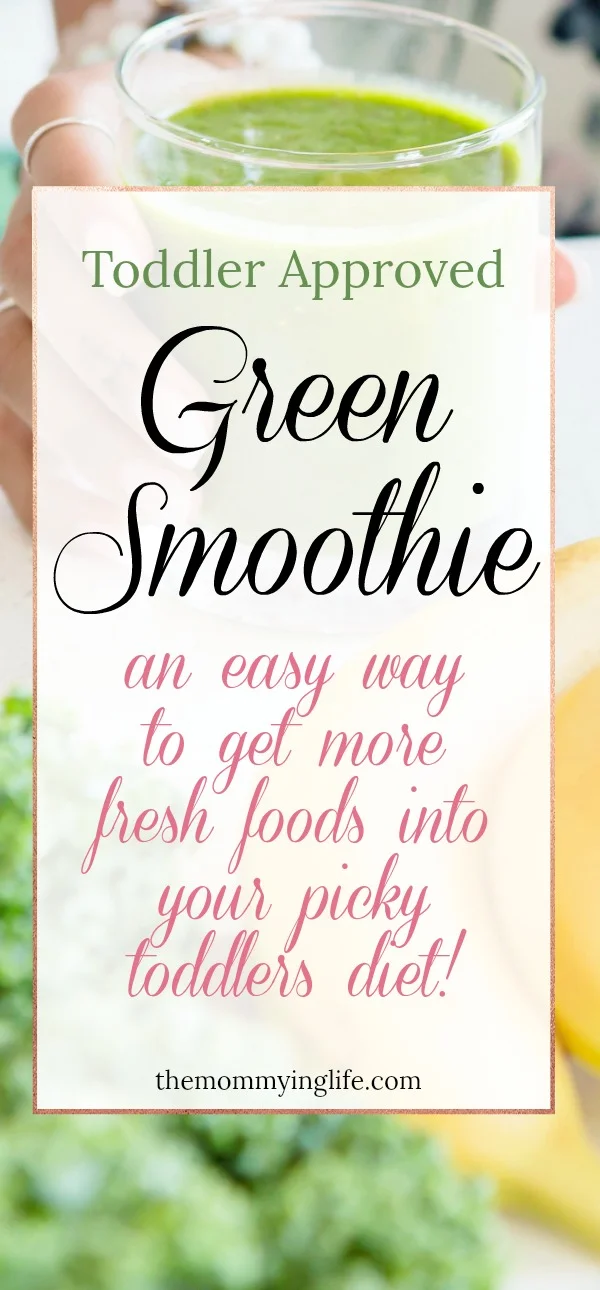 toddlerapprovedsmoothie longpin.jpg
