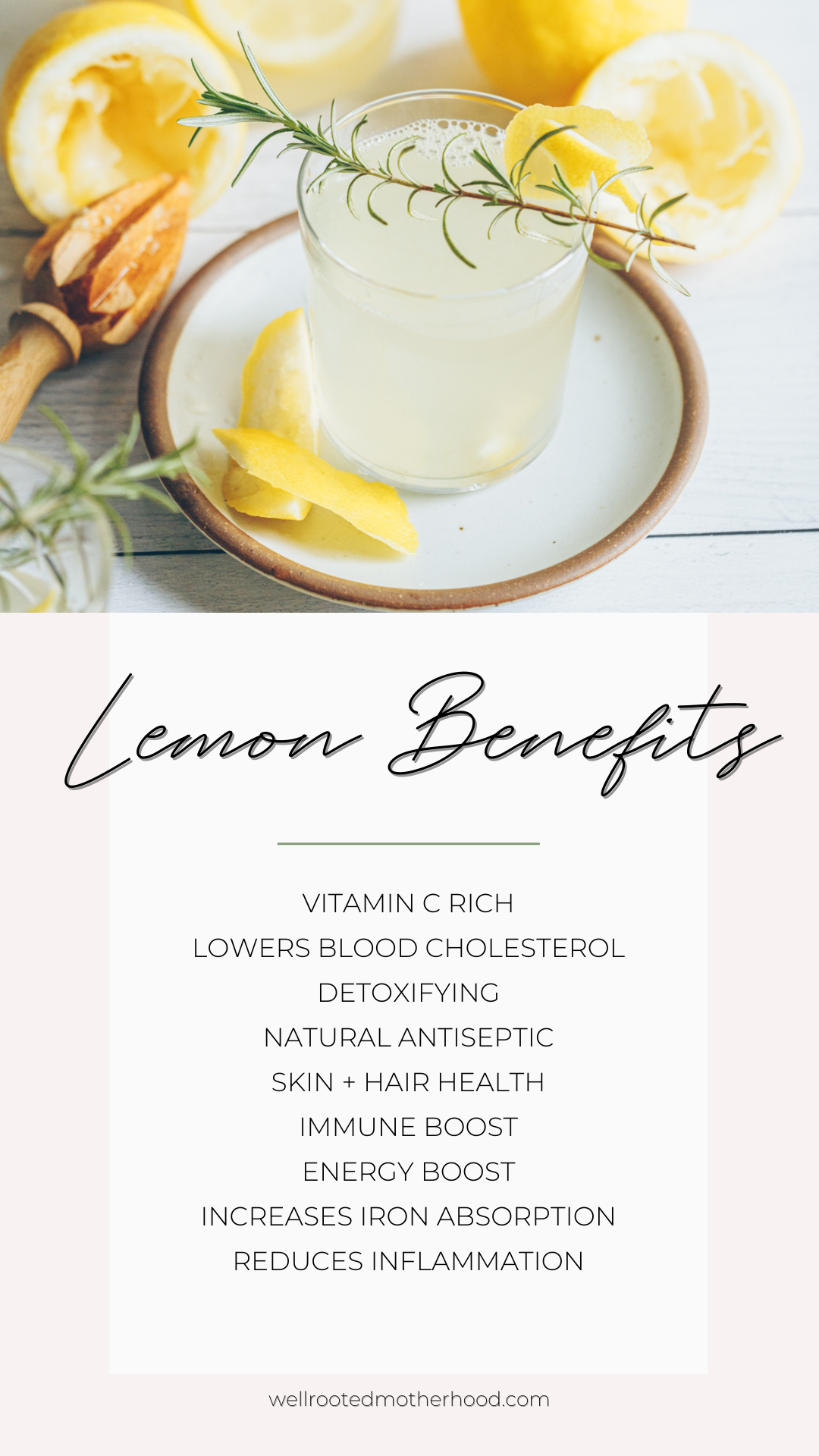 66 of the Best LemonInspired Recipes — WellRooted Motherhood