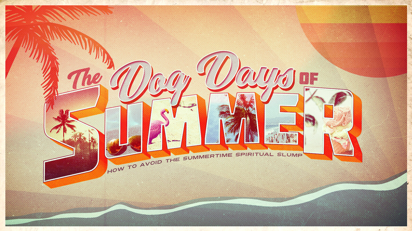 The Dog Days of Summer (Copy)