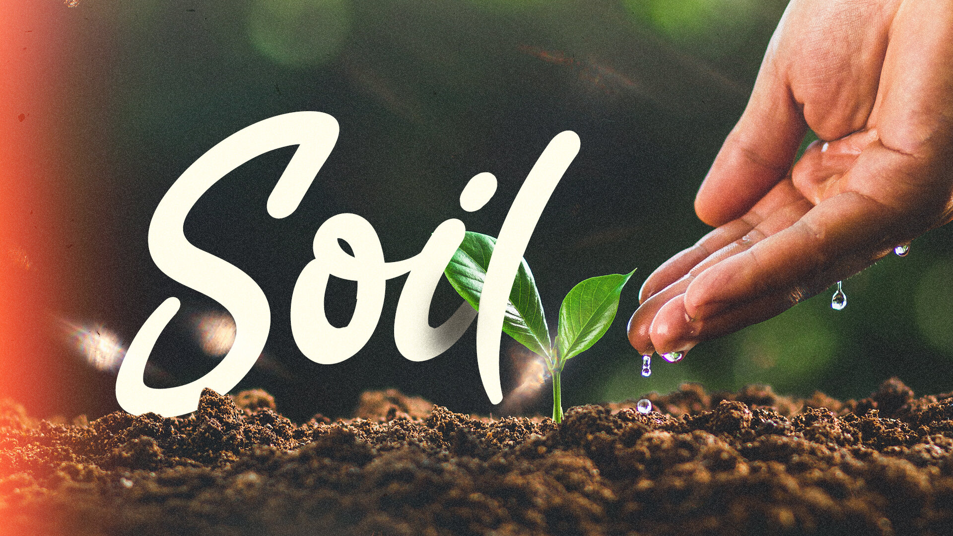 Soil