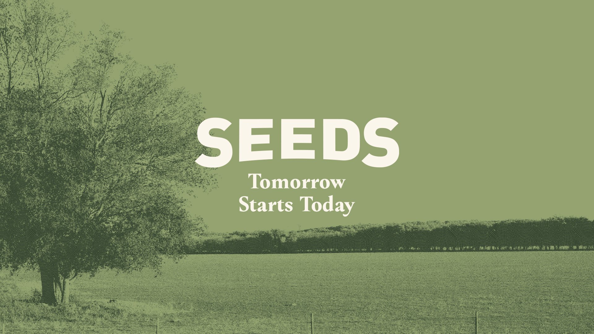 Seeds (Copy)