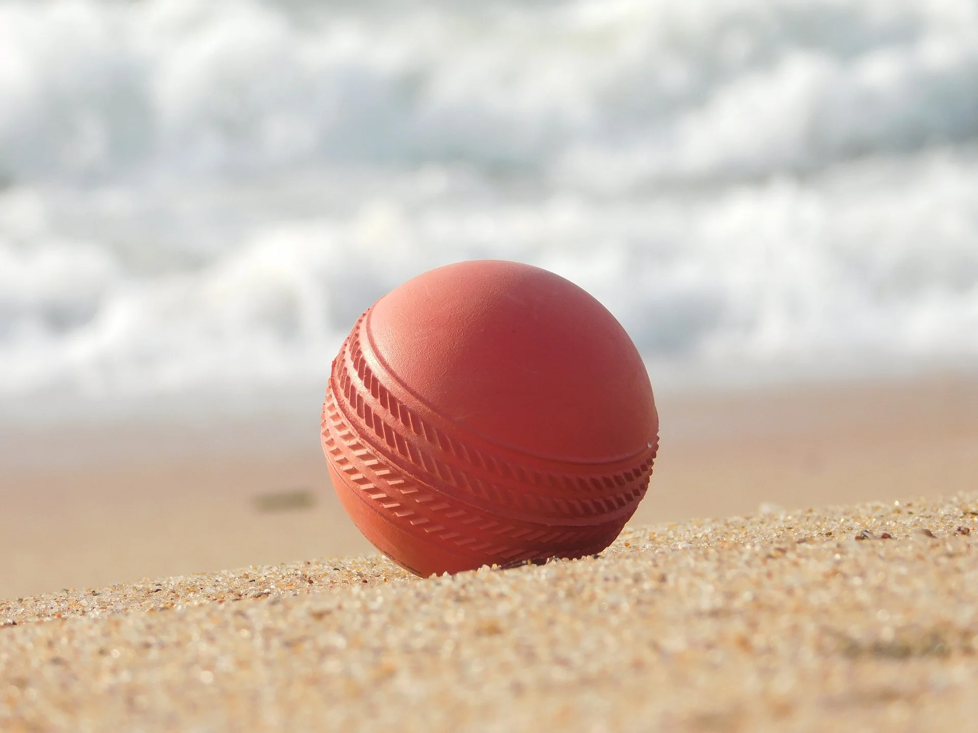 cricket .jpg