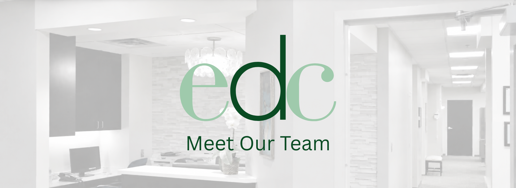 Meet Our Team.png