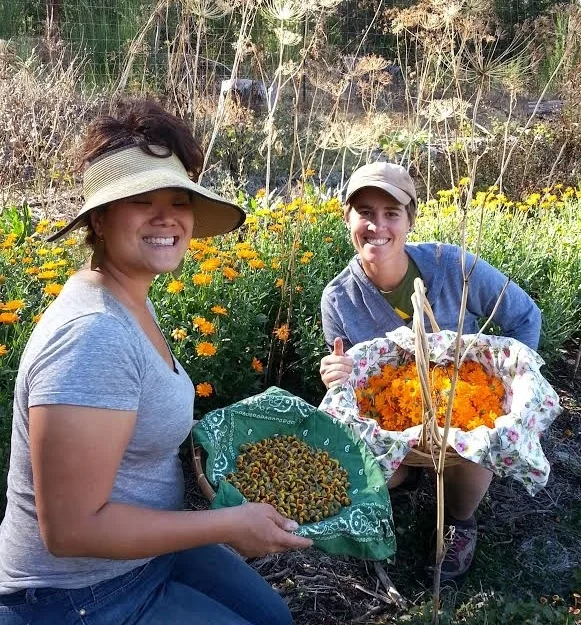 teresa+and+Lee+harvesting+herbs.jpeg