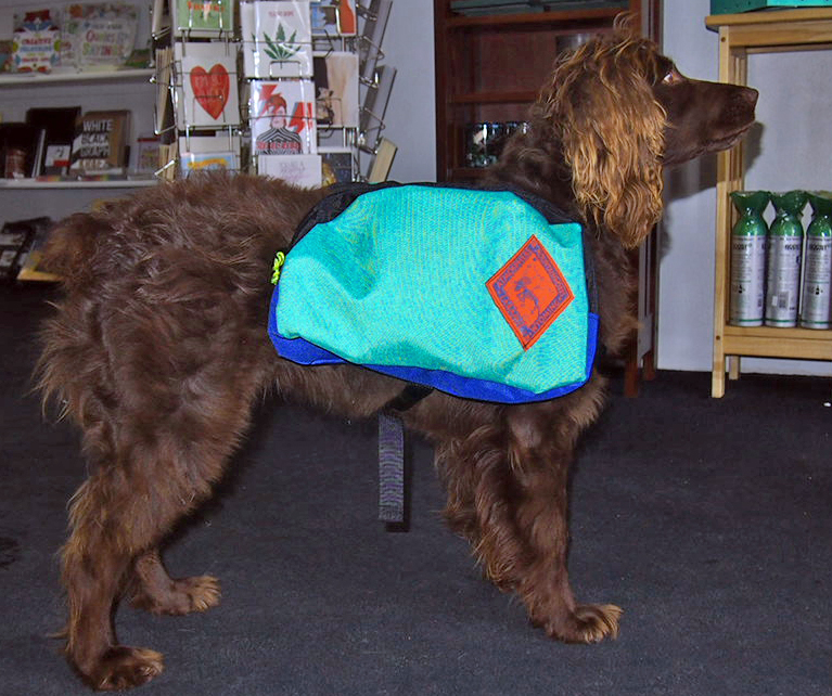 Zeda Standing.jpg