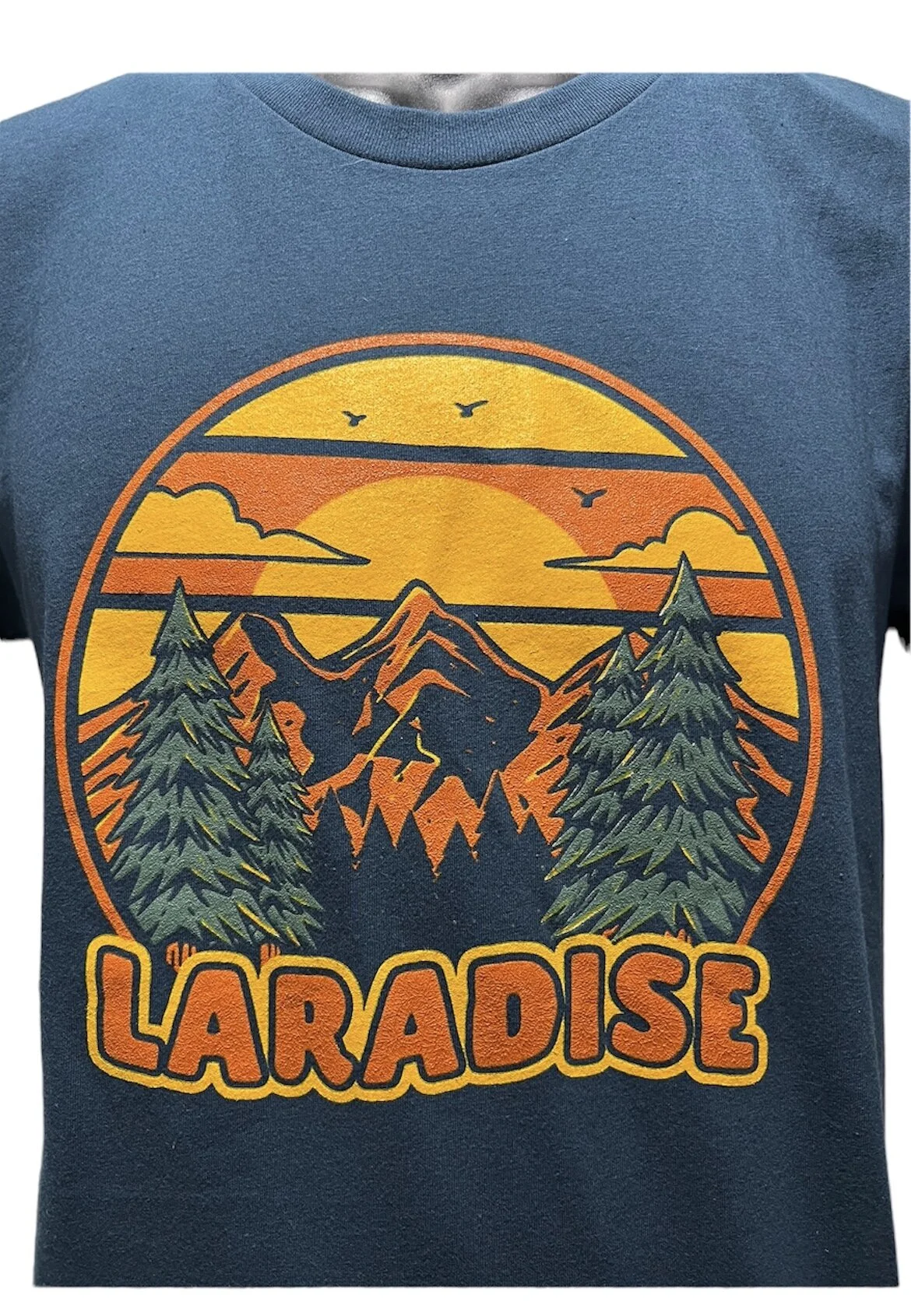 00C3AB95-0E62-4F87-9514-C81E9BEA8E57