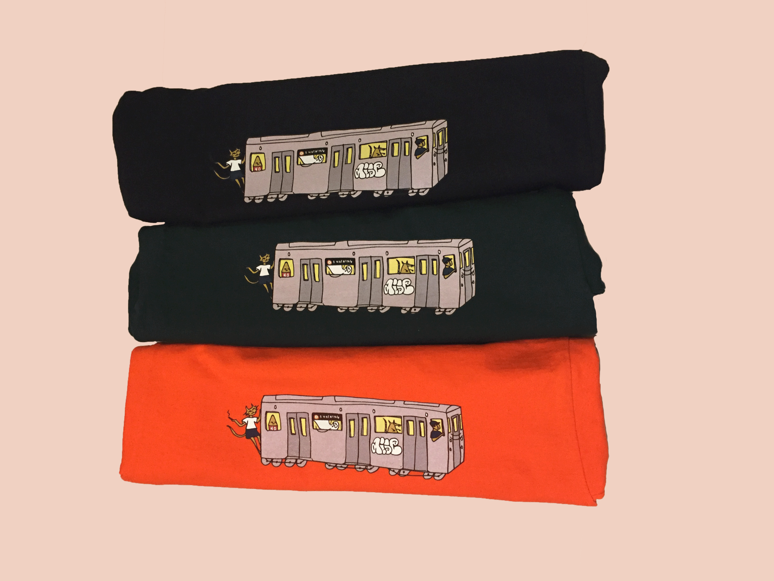 train-pics-for-website.png
