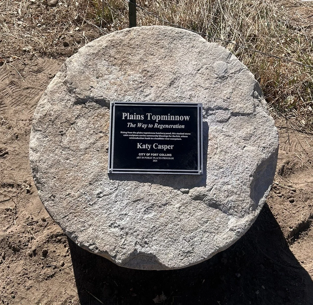 Plaque.JPEG
