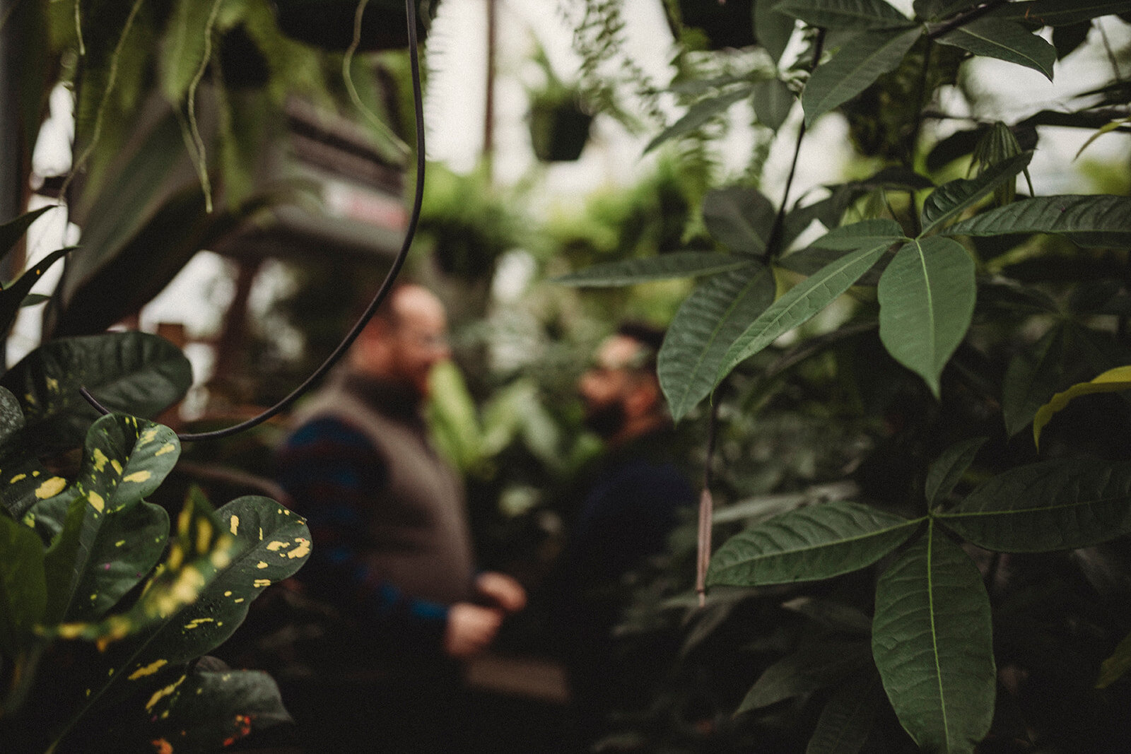 Arkansas-greenhouse-engagement-photos46.jpg