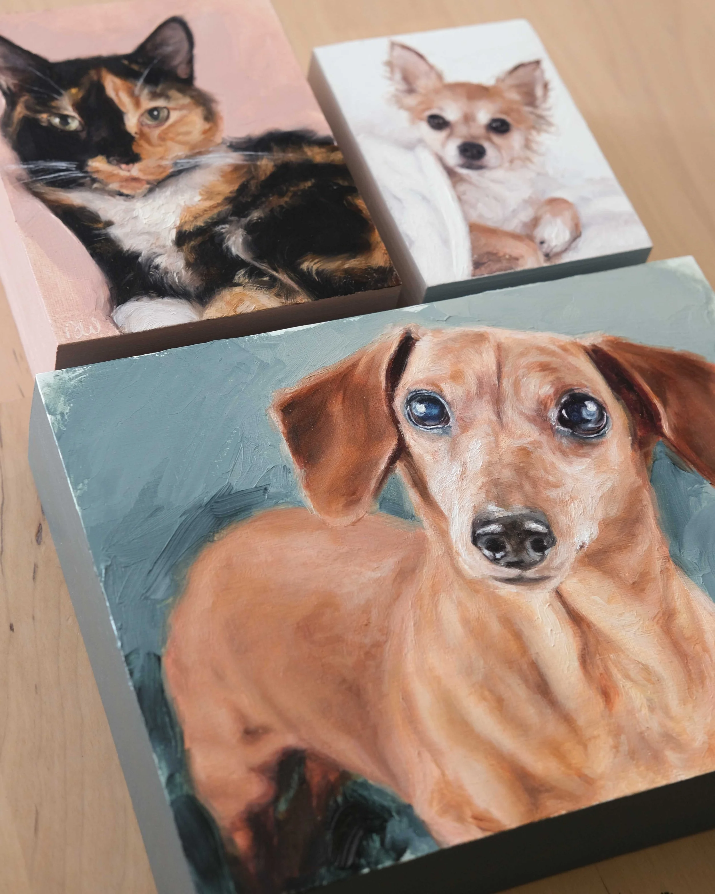 PETPORTRAITS-AMYWEBBER-2025-4.jpg