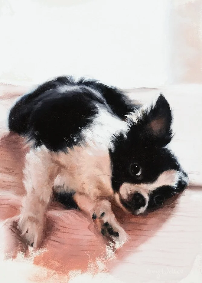 AmyWebberArt_PetPortrait_Txamsem.JPG