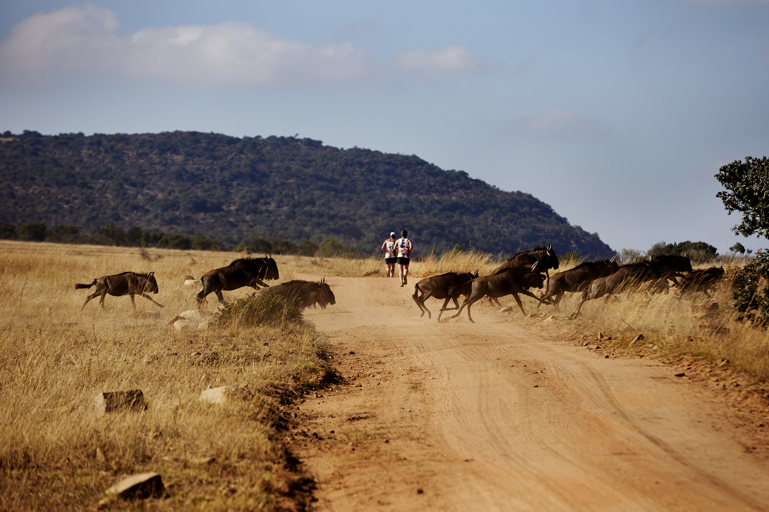  Big Five Marathon - South Africa