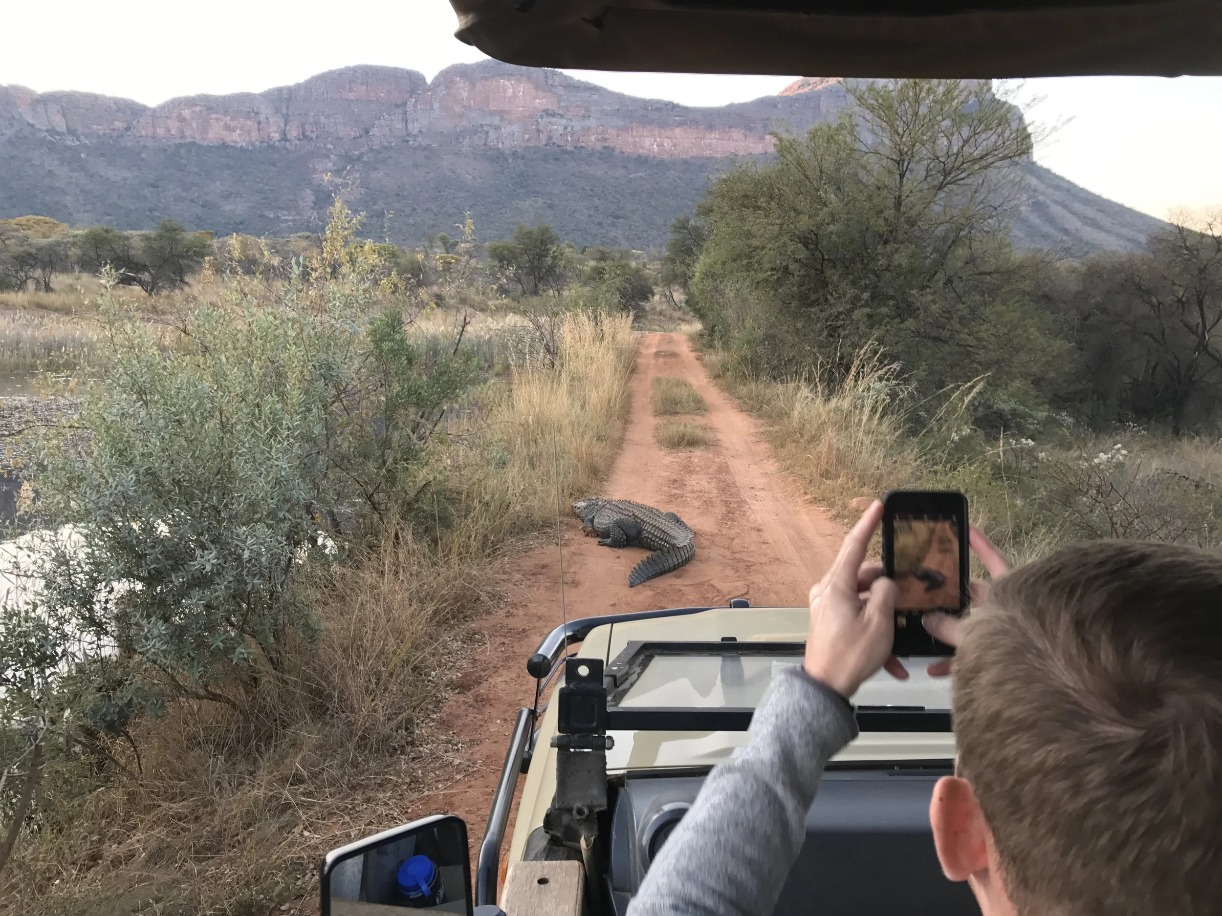 We saw this crocodile on our marathon course, two days later I would run down this dirt road.