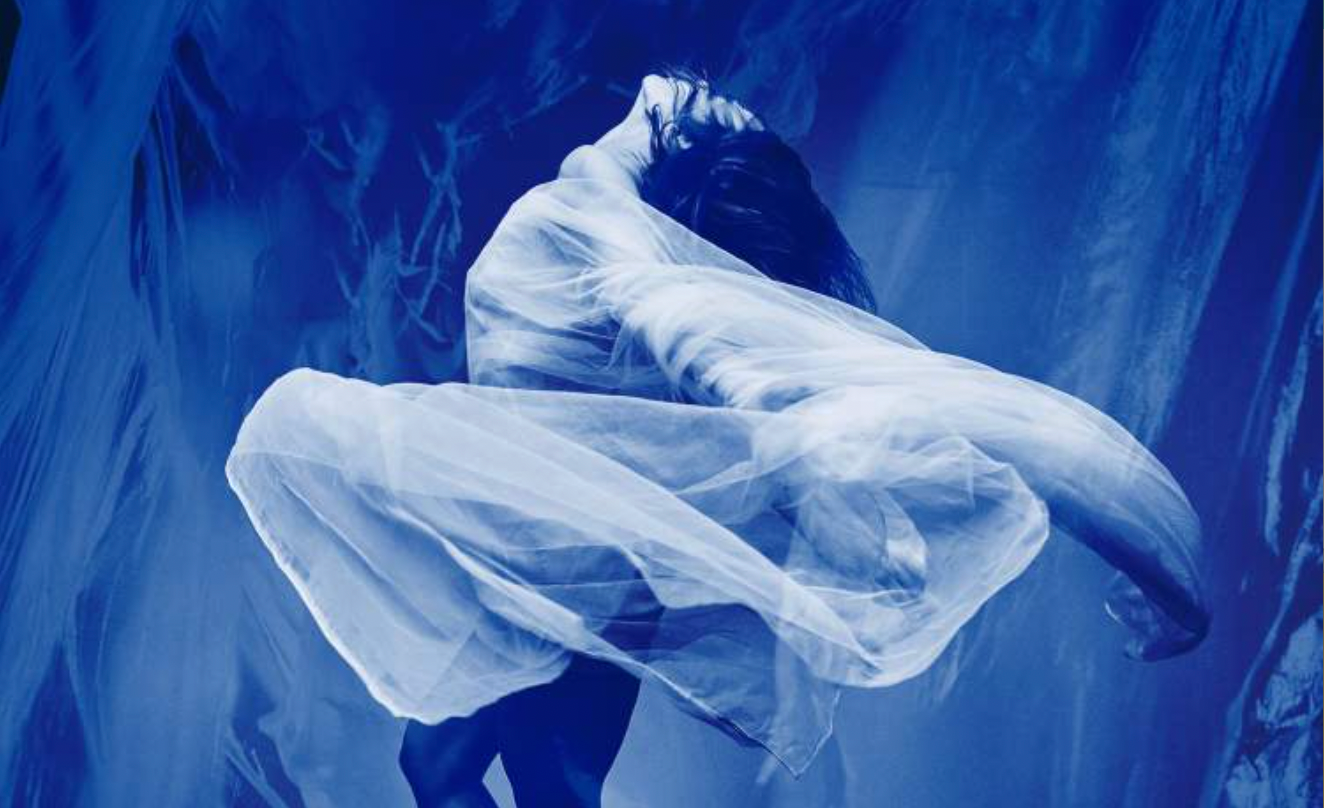 INSHADOW Lisbon Screendance Festival - Nov 28, 2026 - 9pm