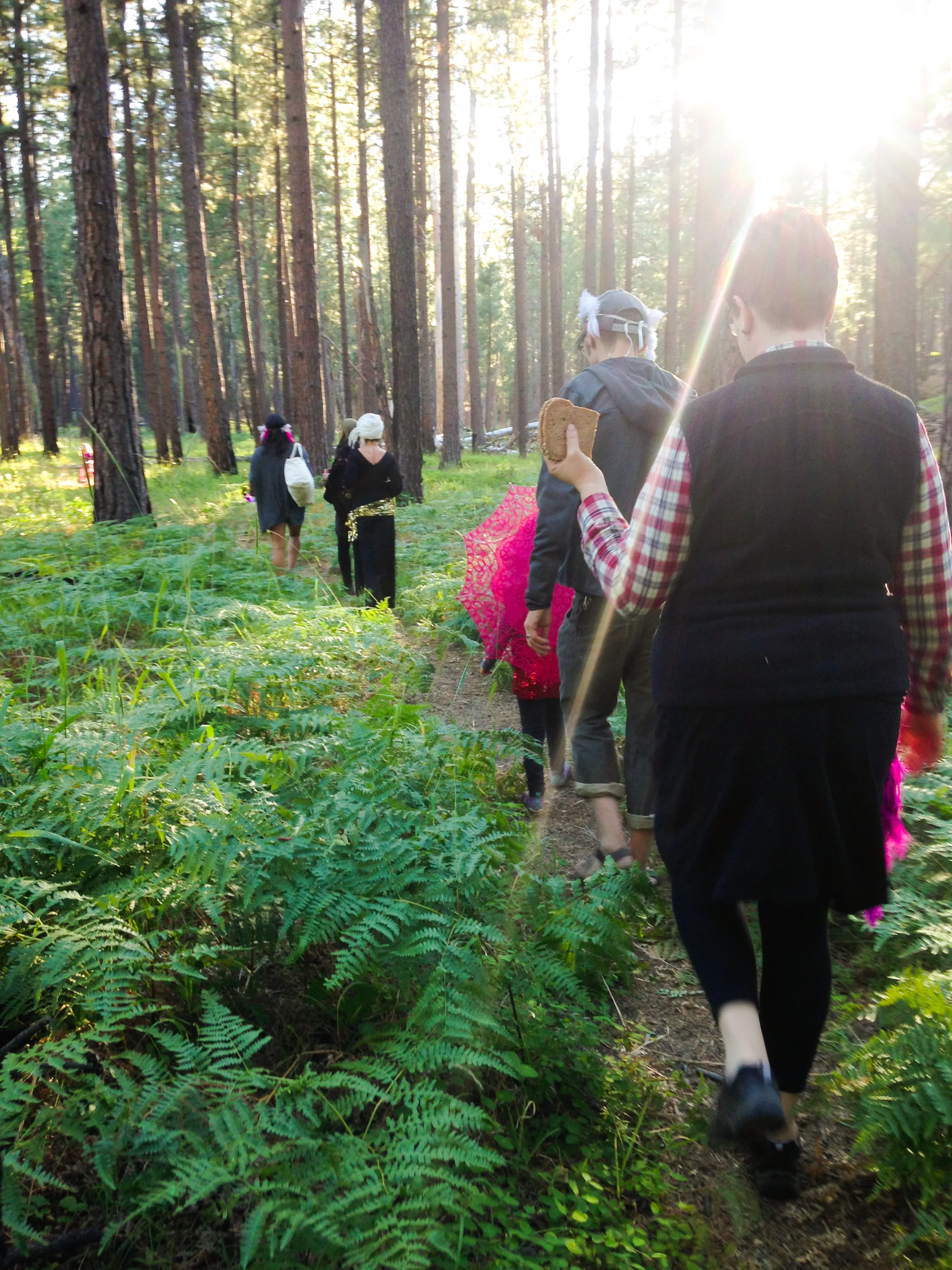 Solstice in the Pines