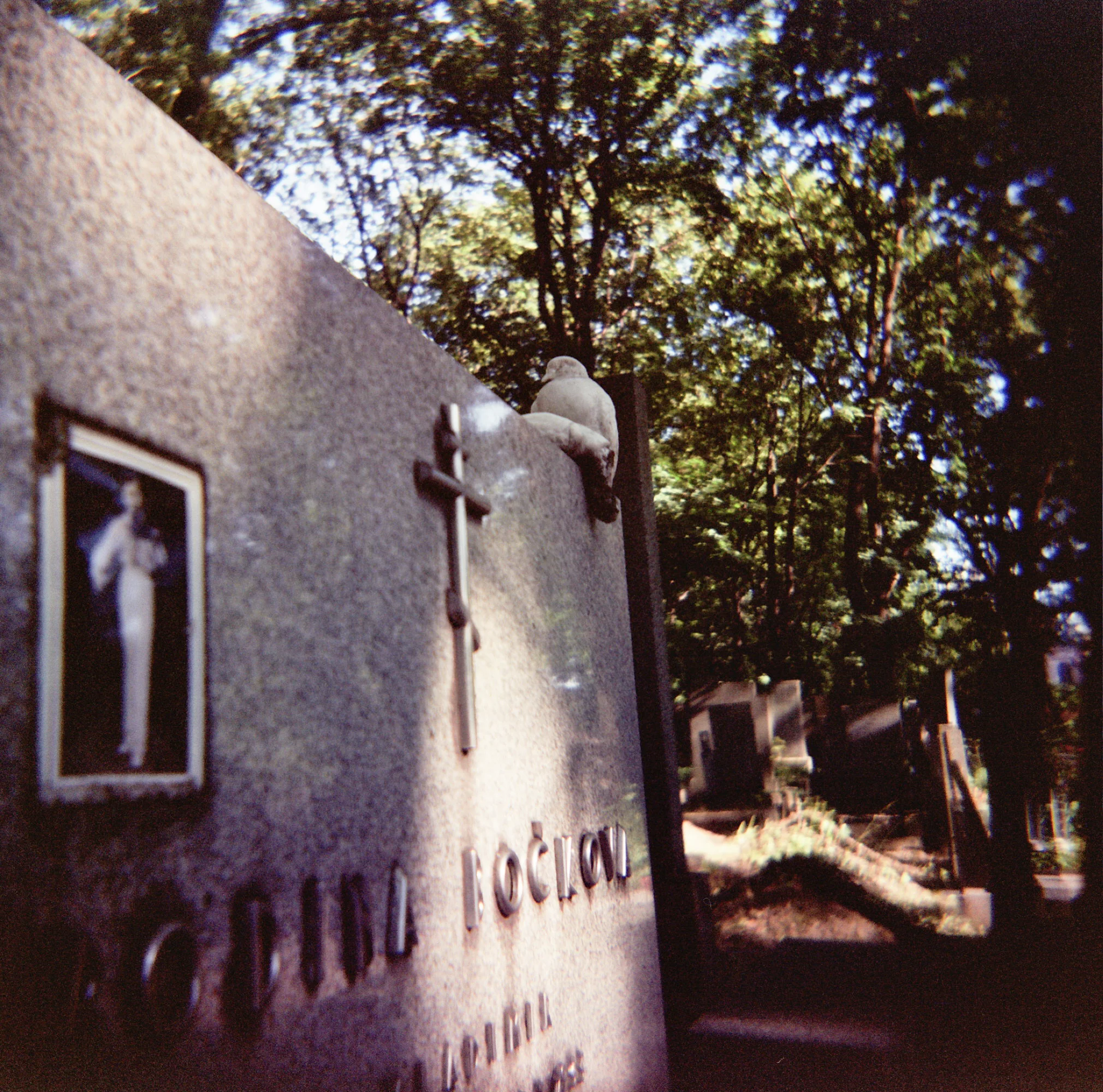 ---_0004_1.jpg
