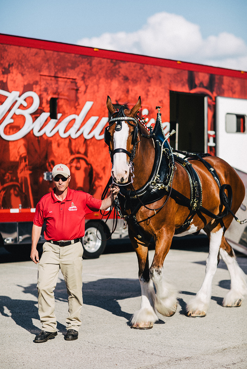 budweiser-copper-lager-preview-kriech-higdon-photography-louisville-ky-013.jpg