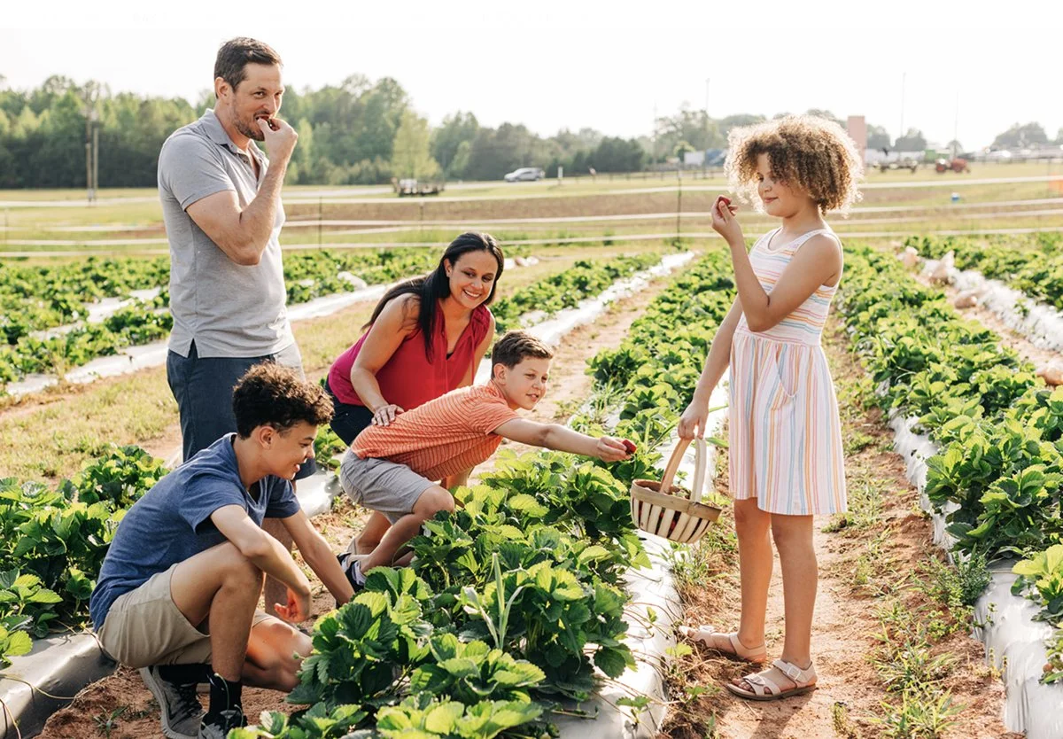 Olde English District, SC