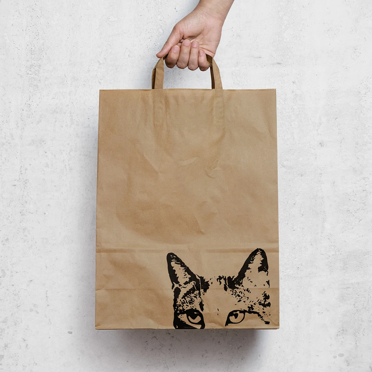 Fat Cat Cider <br> <p style= "font: Europa; font-size:8; font-weight:400; text-transform:lowercase; ">brand design</p>