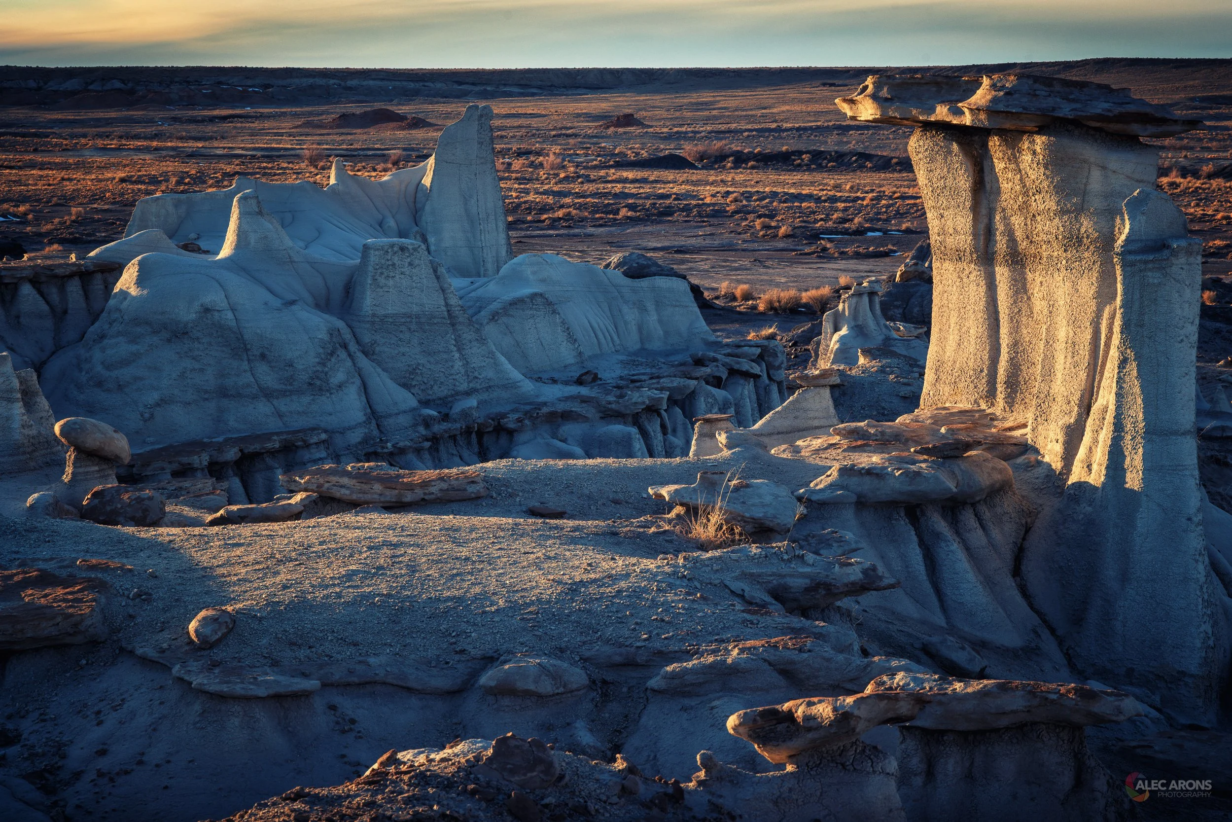 NEW MEXICO LANDSCAPE