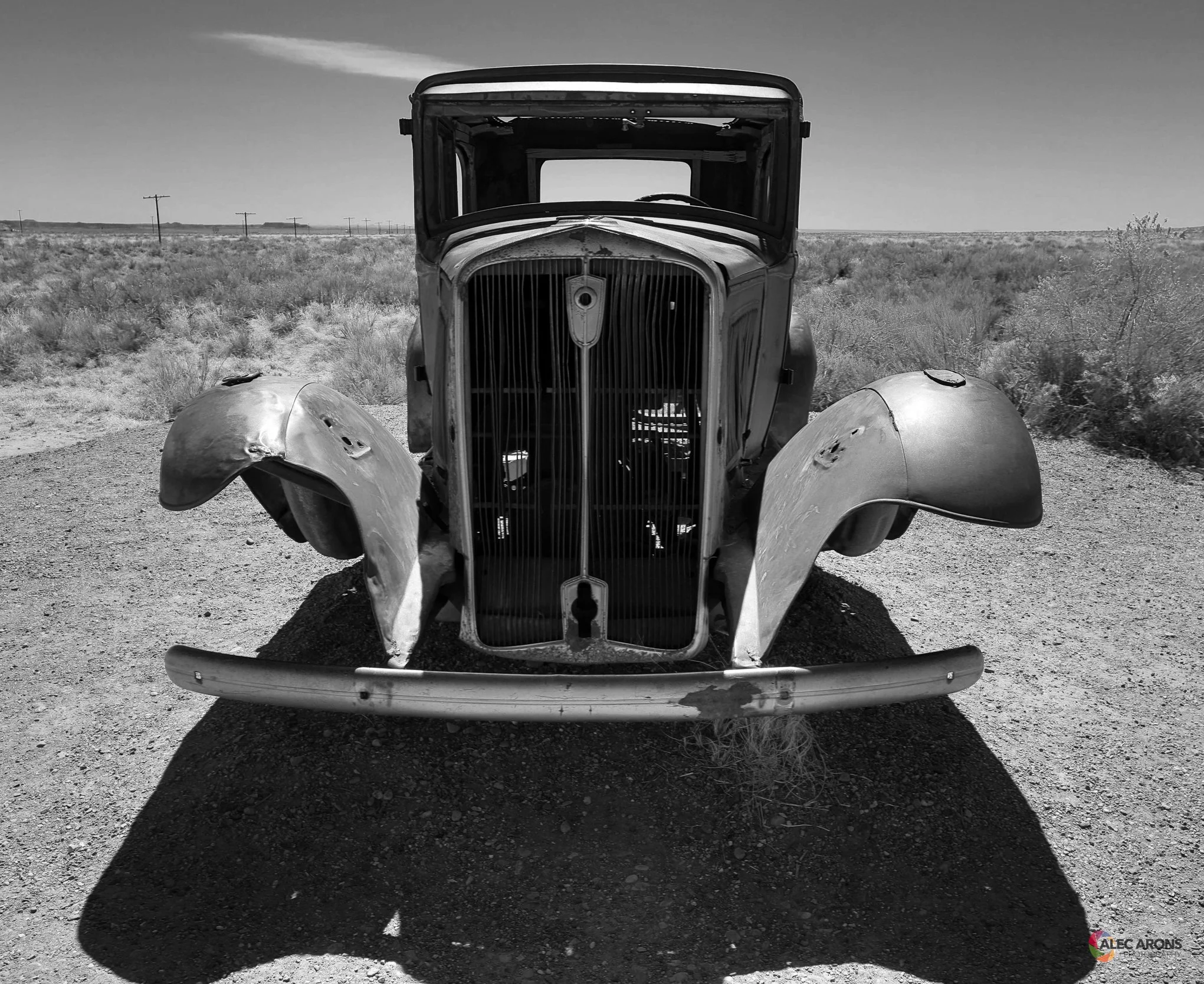 GREETINGS FROM THE PETRIFIED FOREST