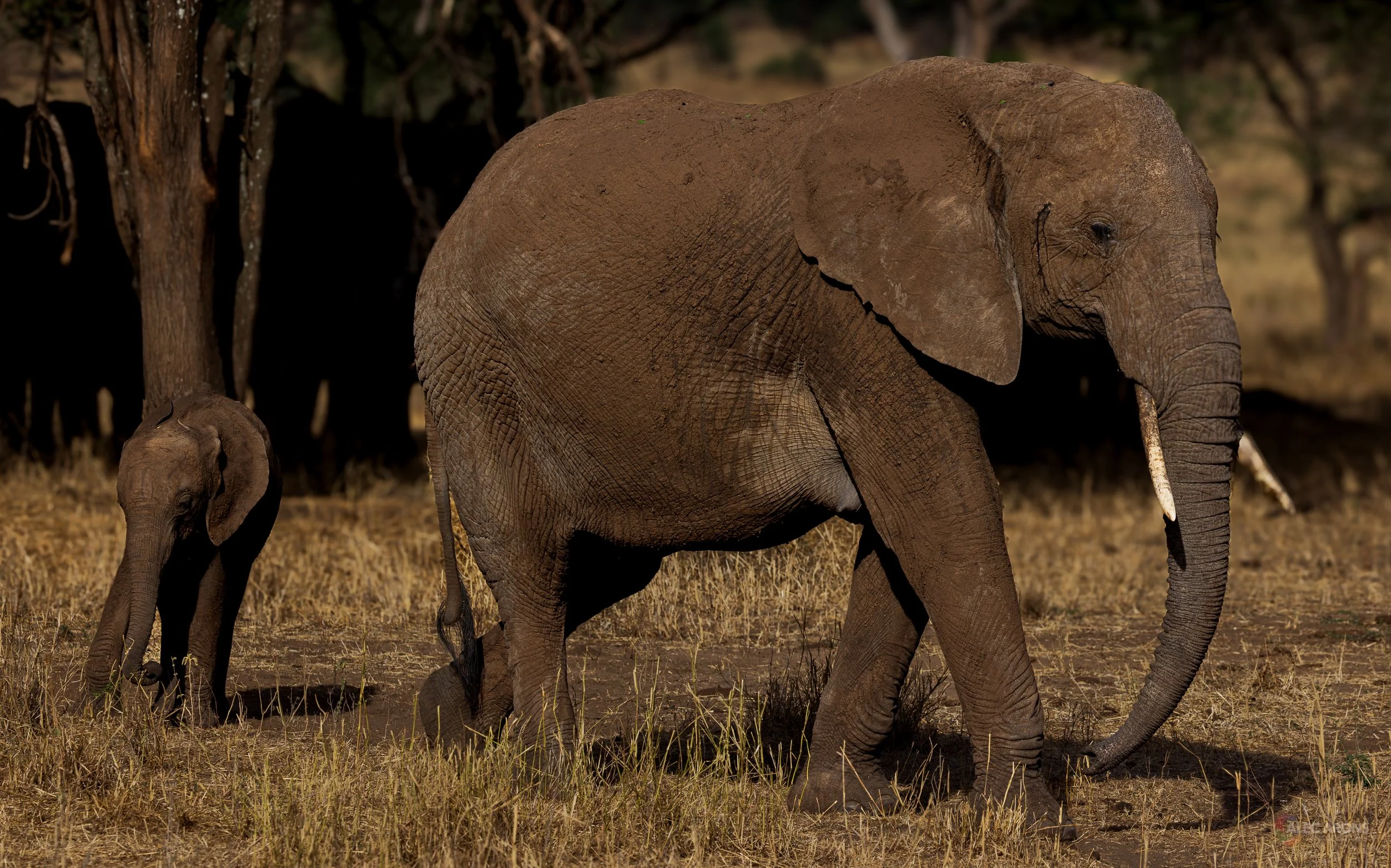 YOUTH AND EXPERIENCE