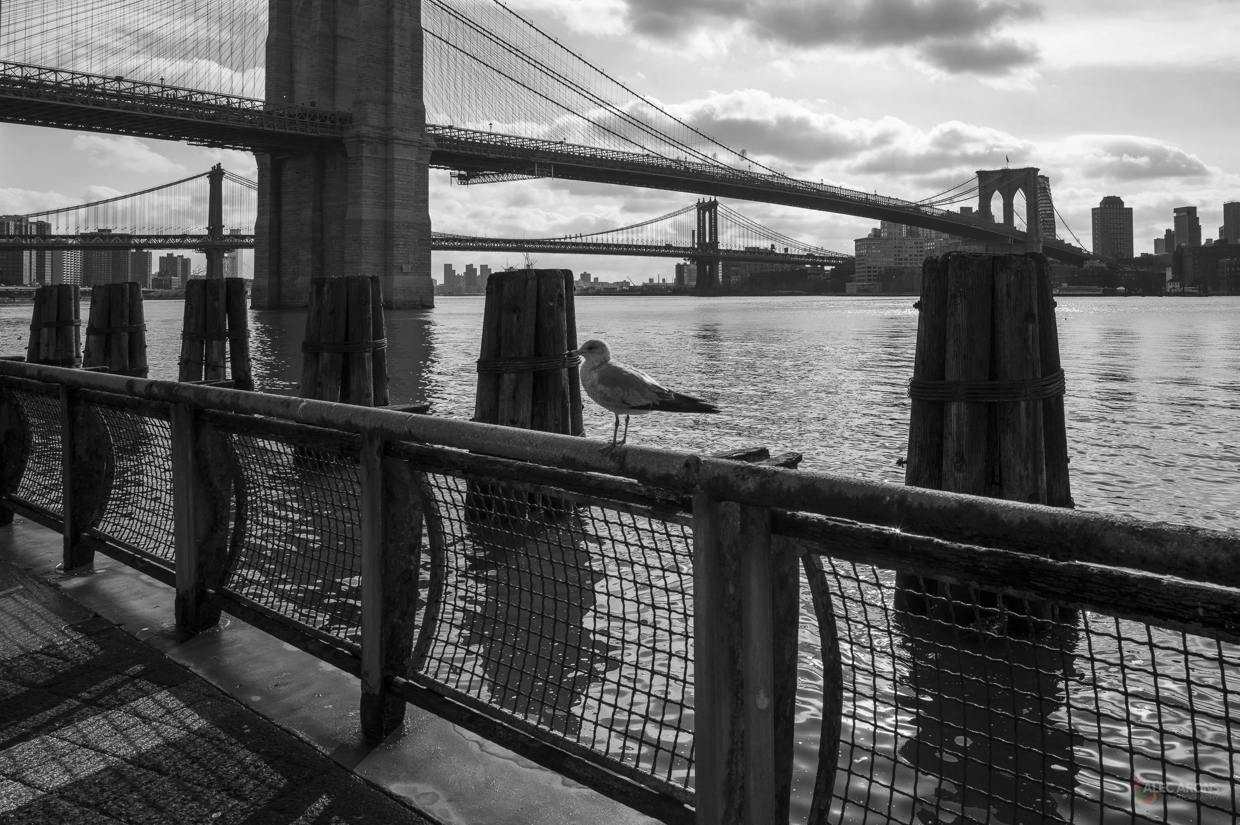 TWIN BRIDGES