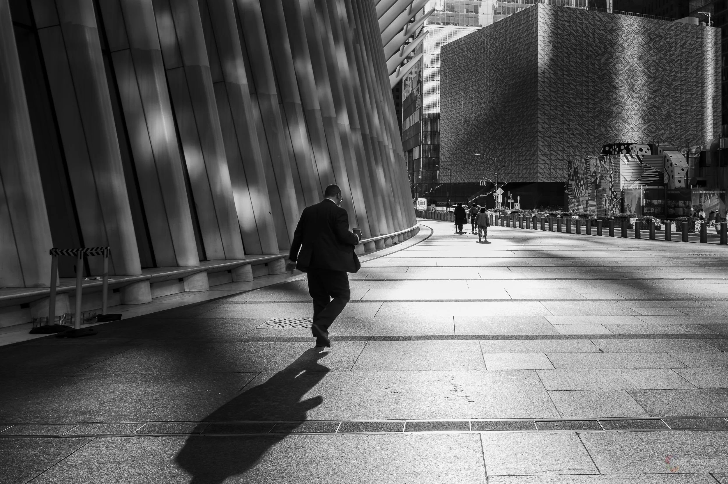 OCCULUS SHADOWS