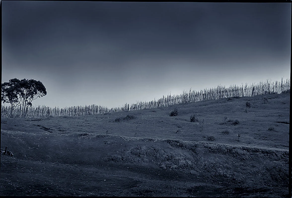 LANDSCAPE---DUO_BURNTw.jpg