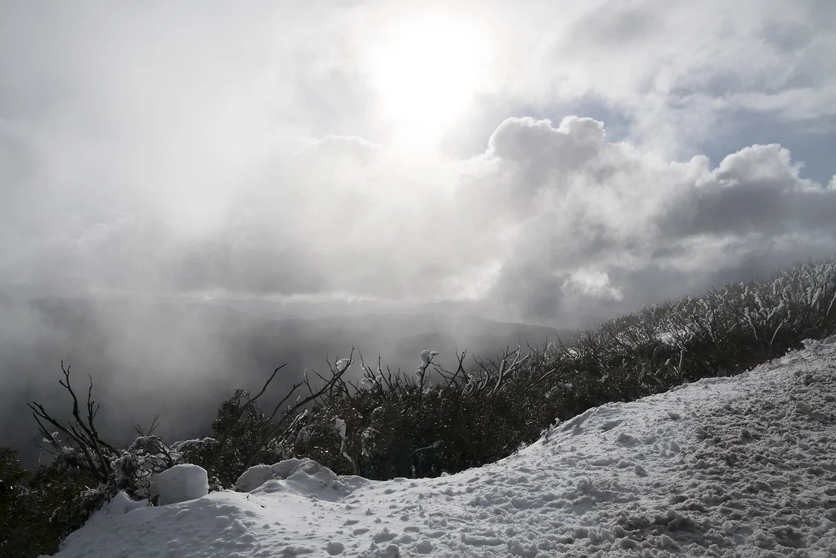180802-Snow-15w.jpg