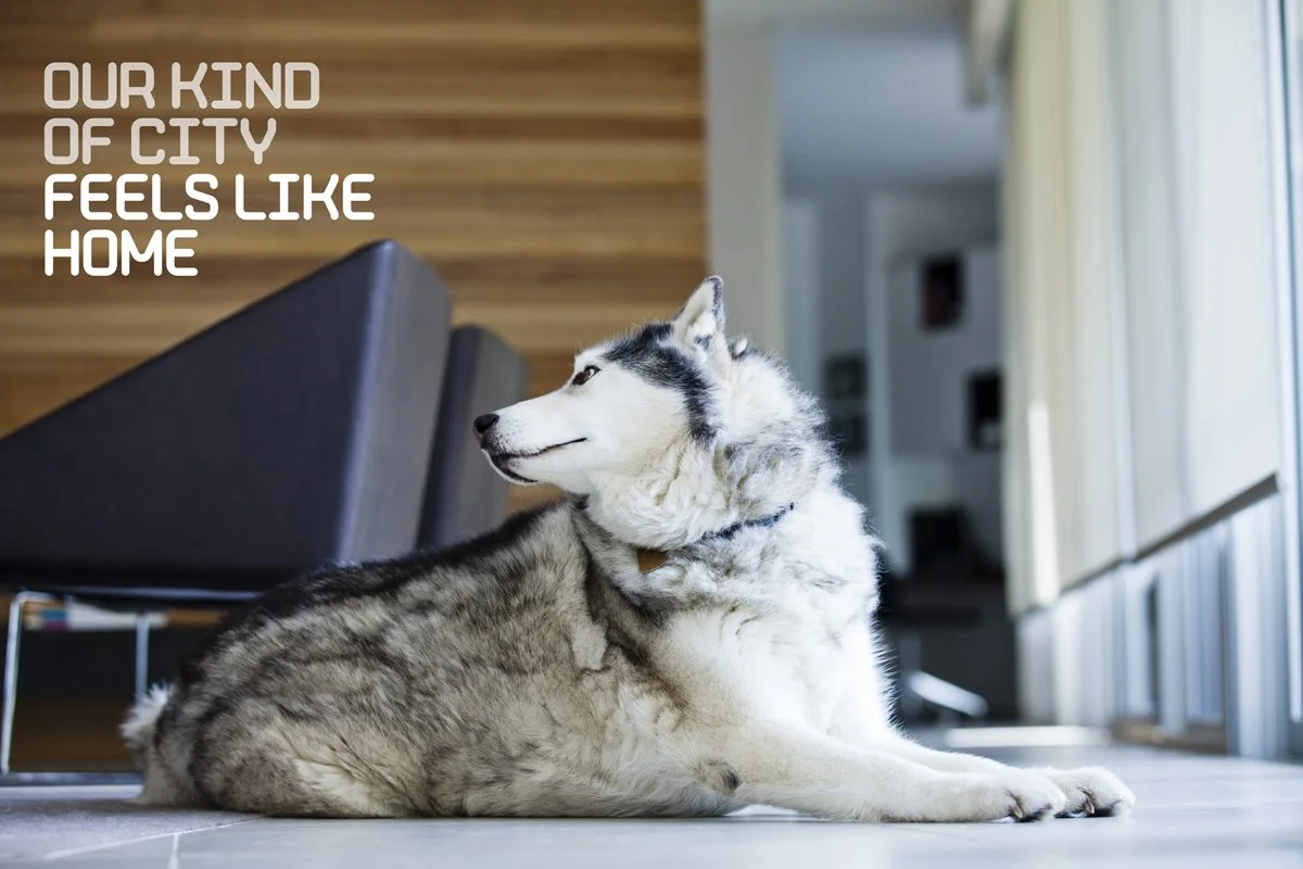 121127 Hoyne Merrifield-932.jpg