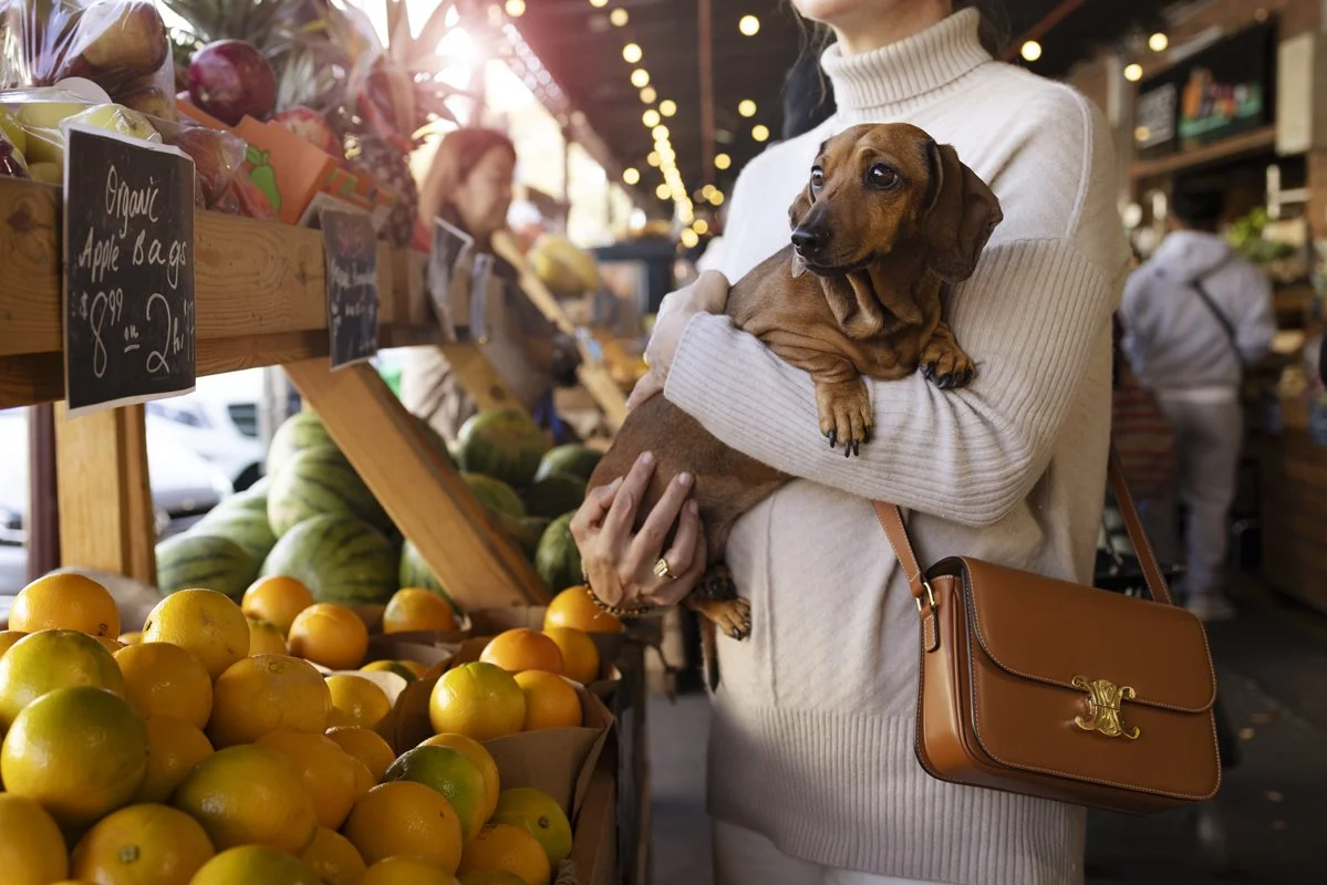 250518 Indi-1374v2.jpg