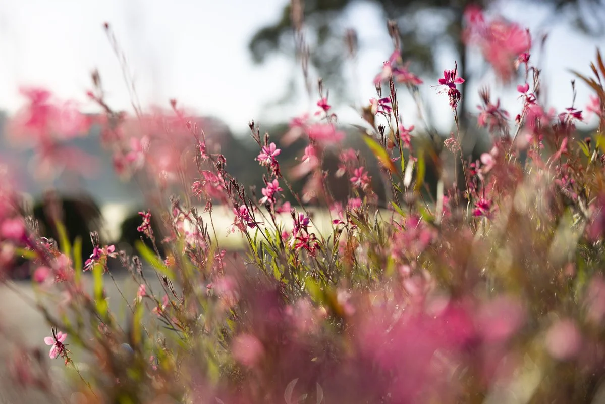 240423 Veue 3-19.jpg