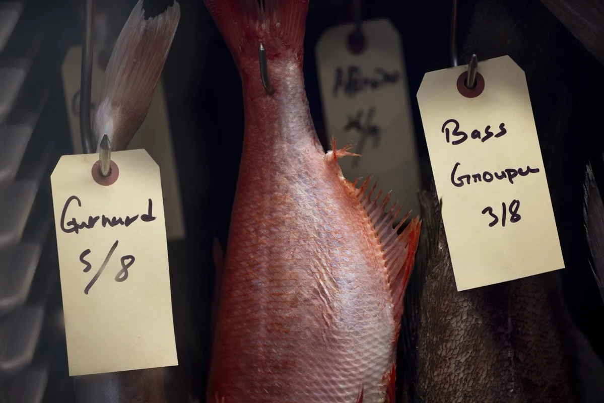 250806 Zeste-2207.jpg