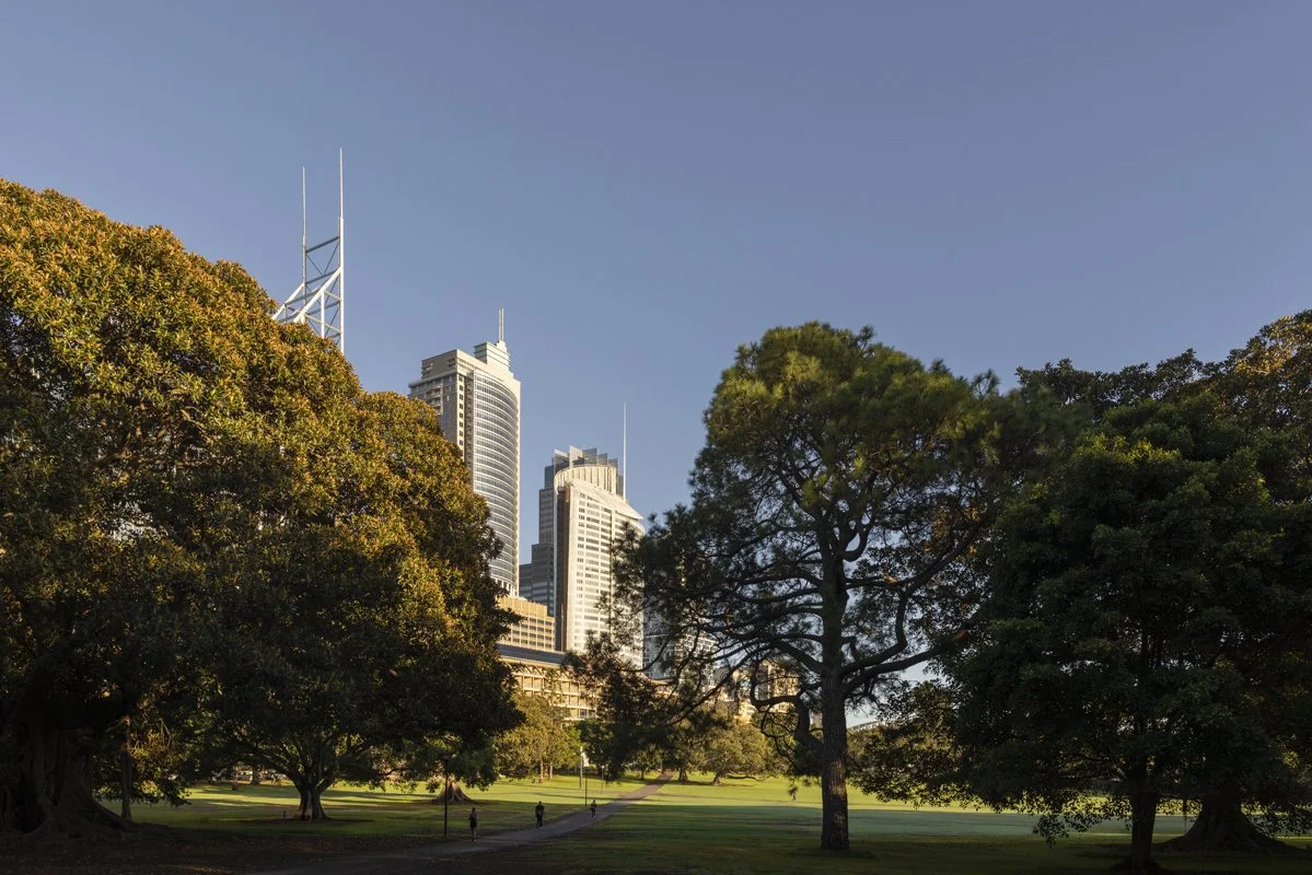 260216 Chifley-1401.jpg