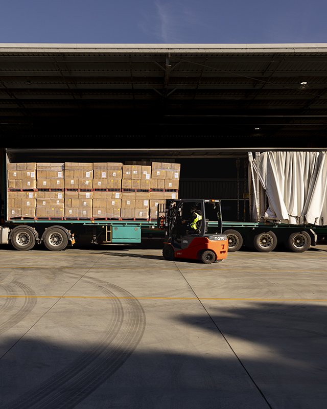 240415 Trunk-350w.jpg