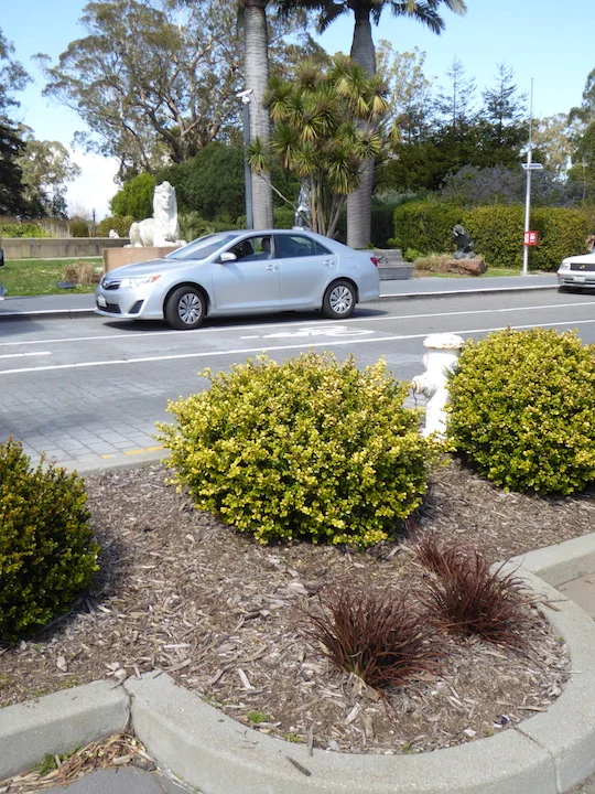 Proposed dig site. Note the ‘female lion’ statue staring face-on across the street