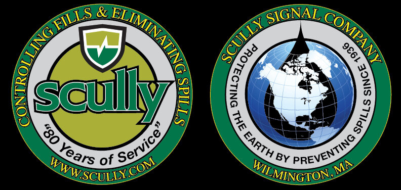 Scully-Coin_2015_Comp_01.jpg