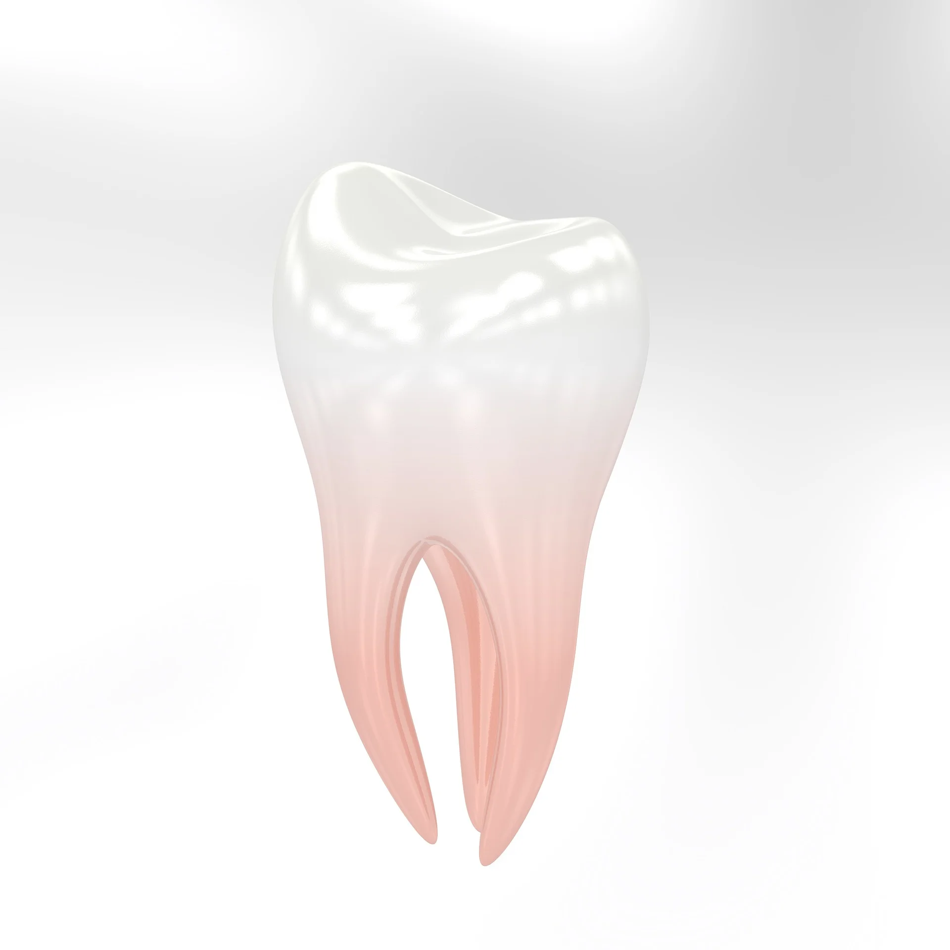 dental-services-provided.jpg