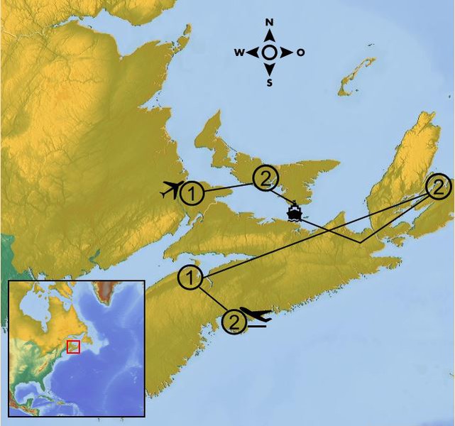 Click to Enlarge