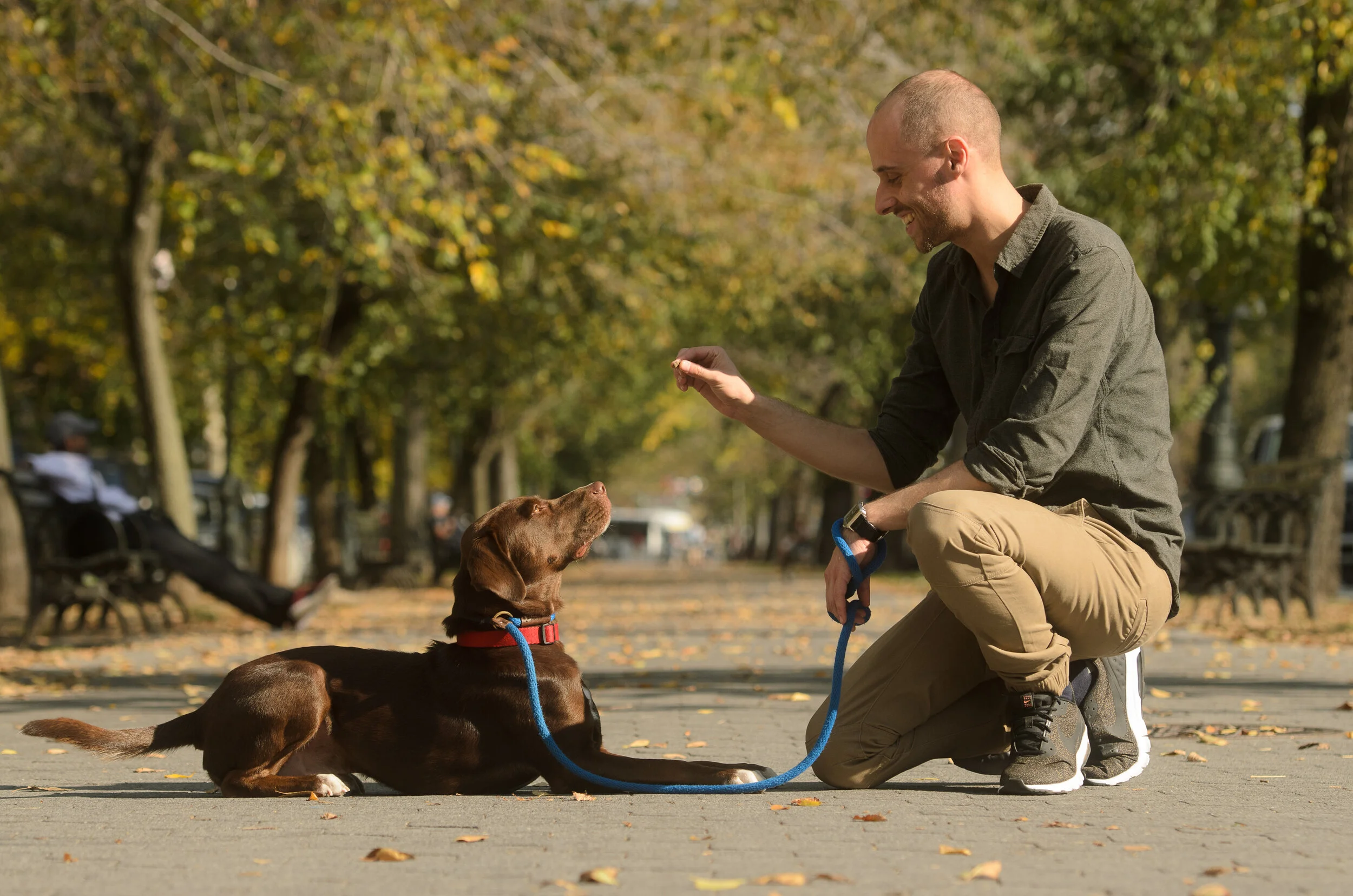 Dominik-5491 (1).jpg