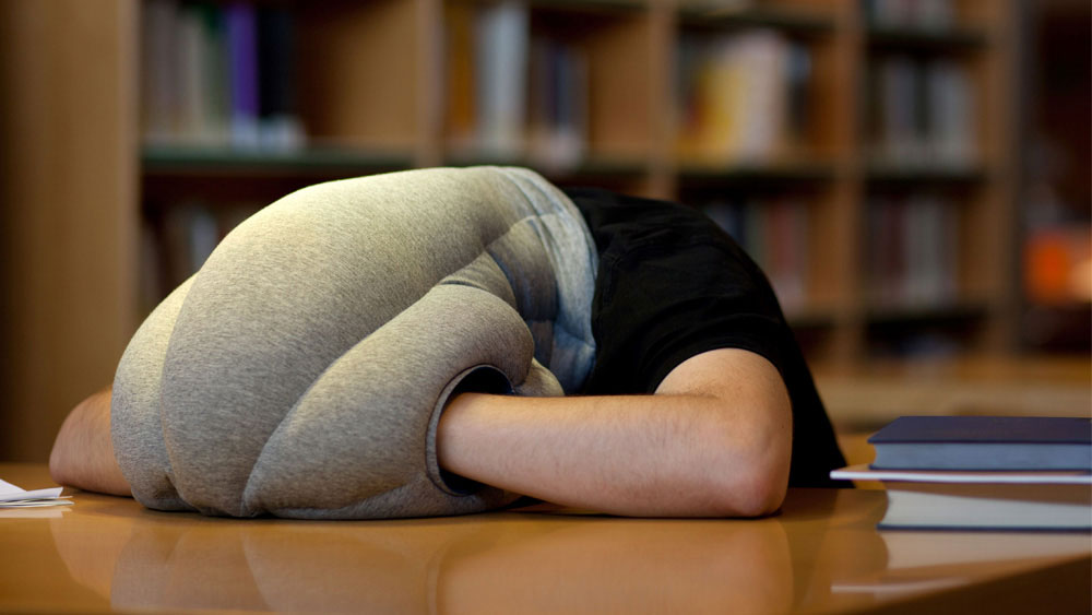 The Ostrich Pillow.