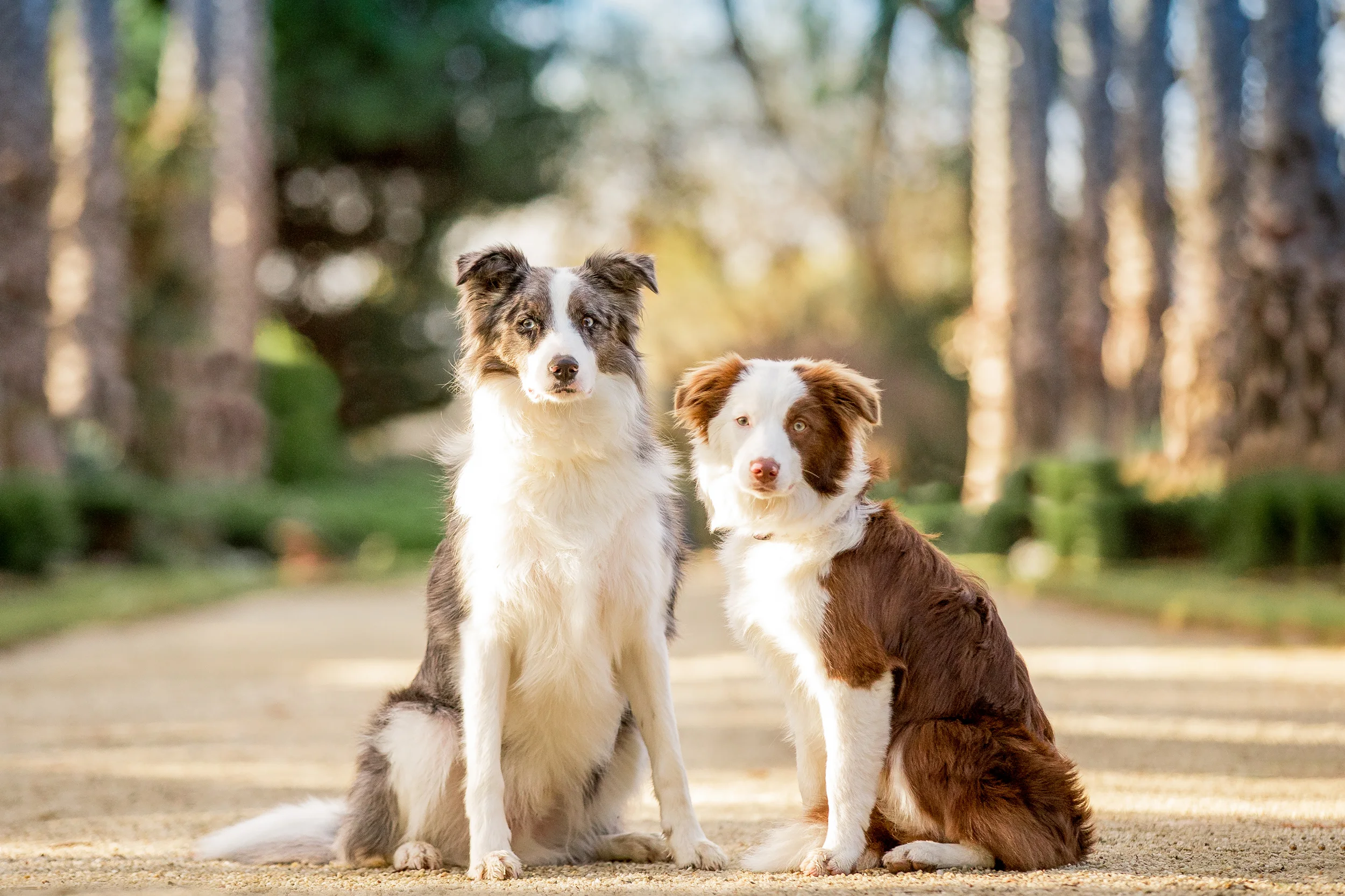 toby-jazz(099)-07_17_ragamuffin-Edit-web.jpg