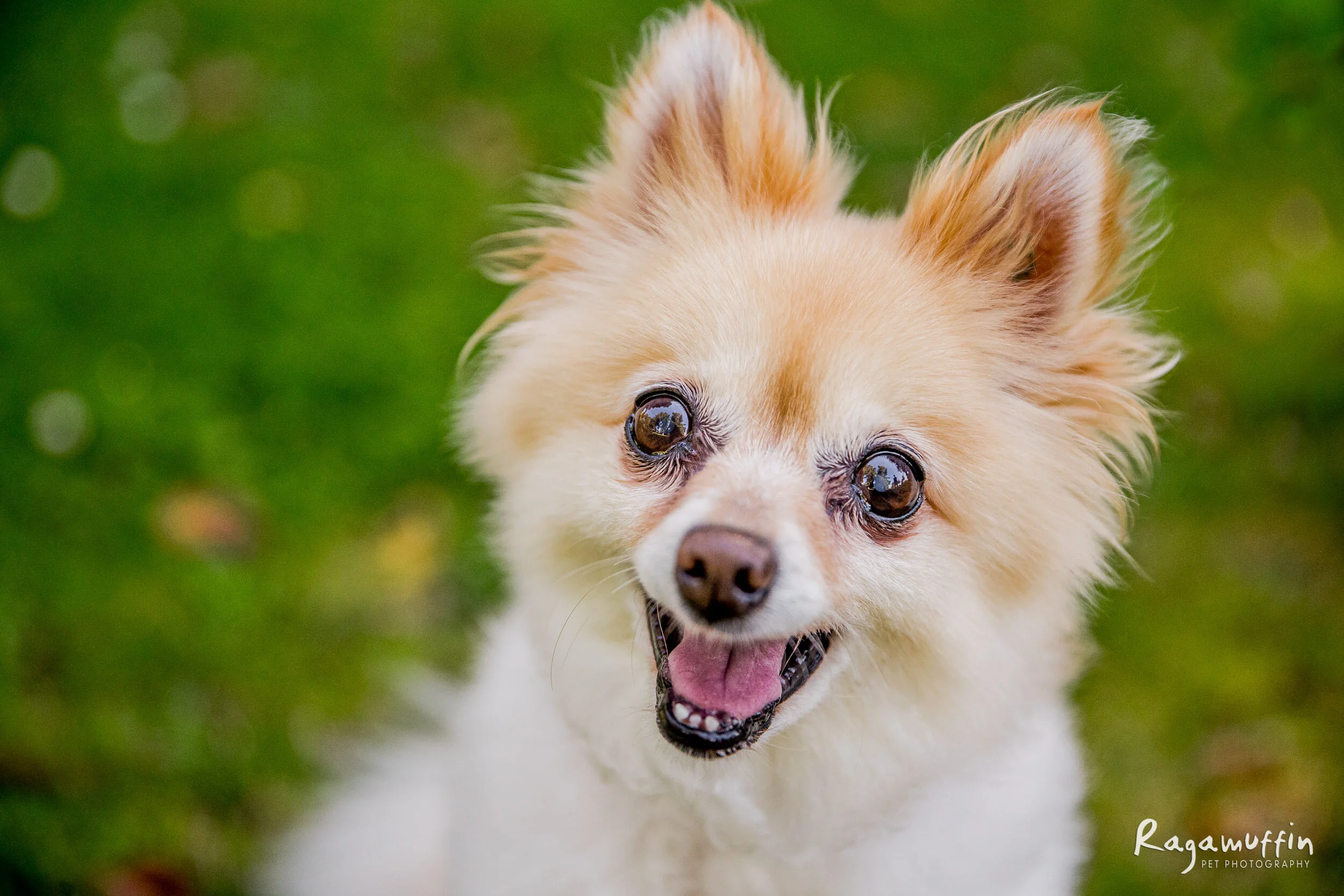 Chiko | Session Gallery