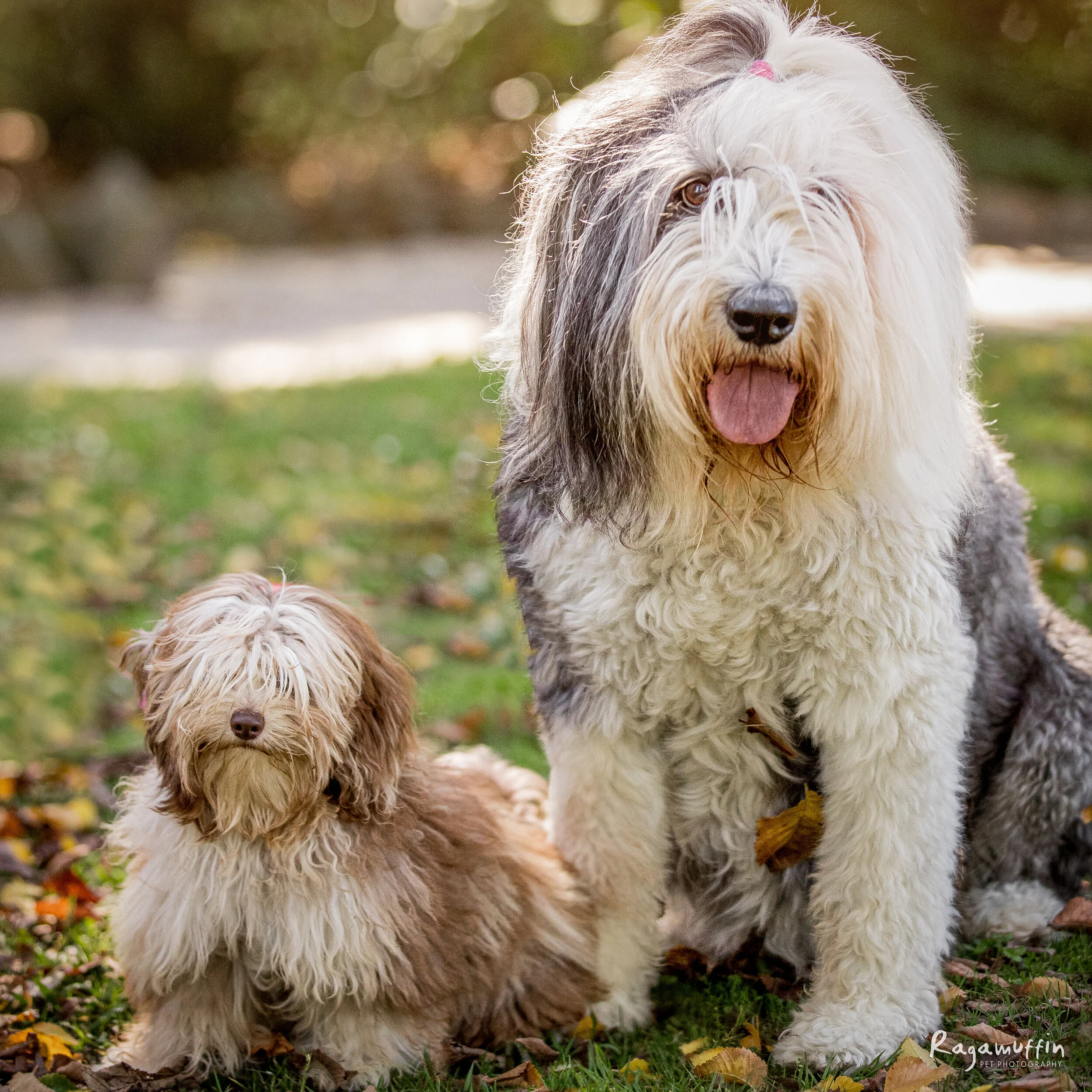 Maisie and Mabel | Session Gallery