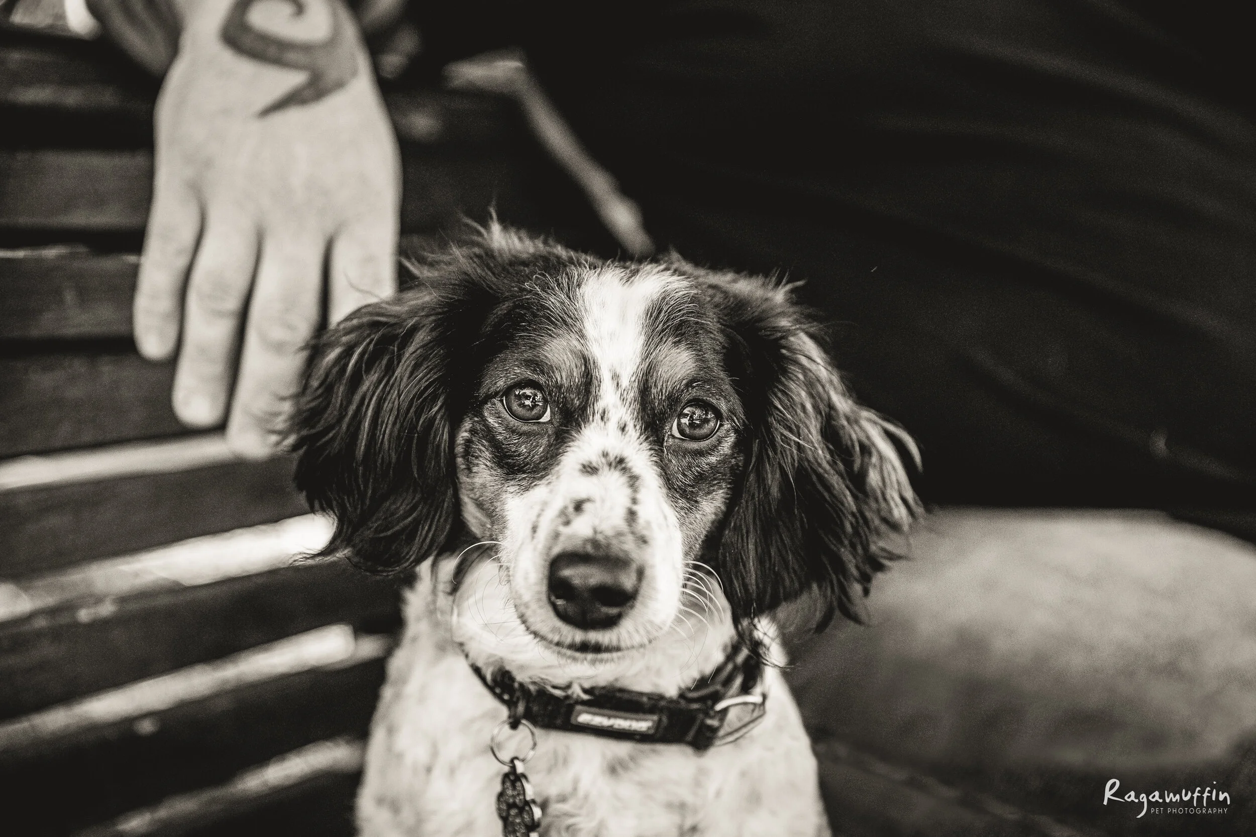 Shorty | Session Gallery