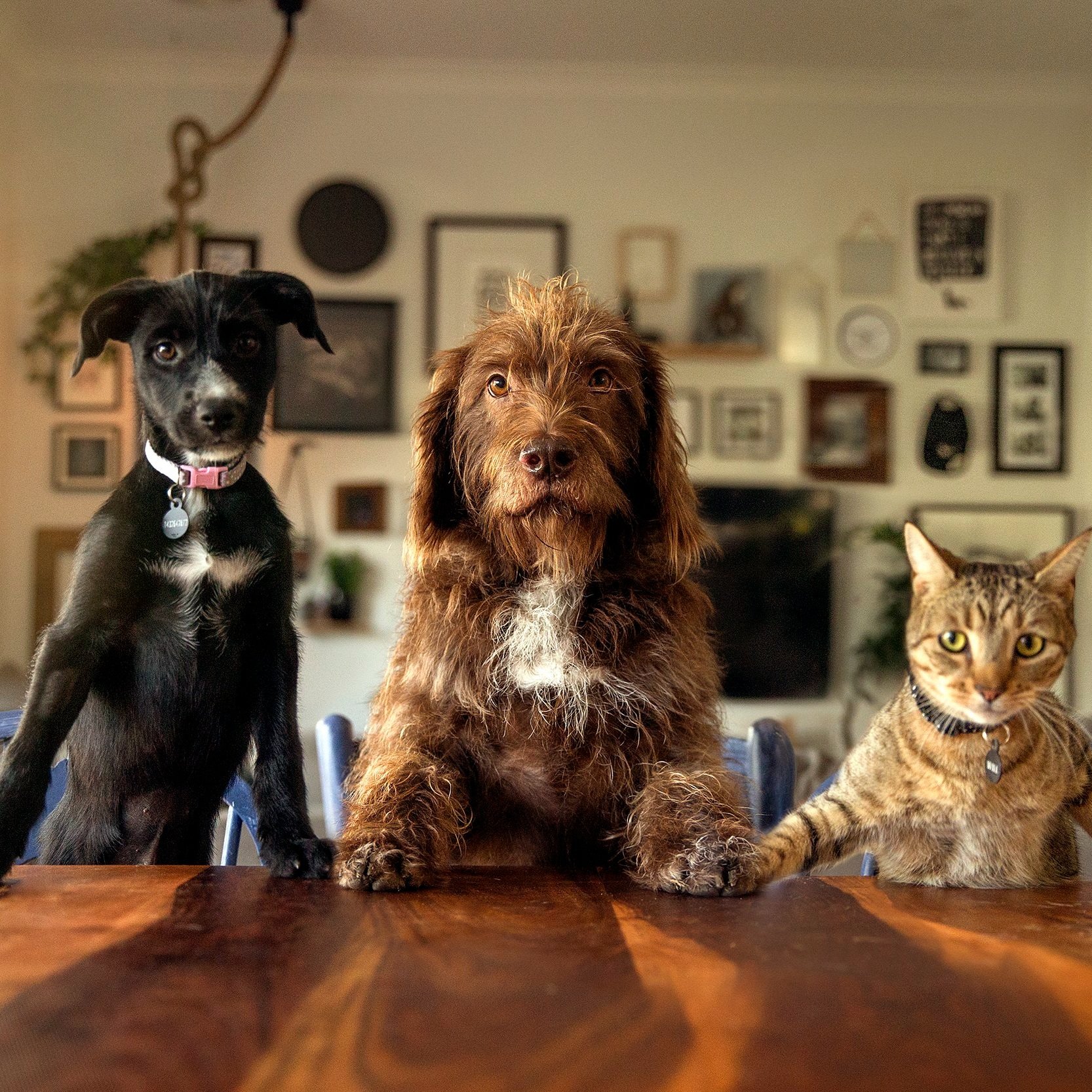 trio-at-the-table.jpg