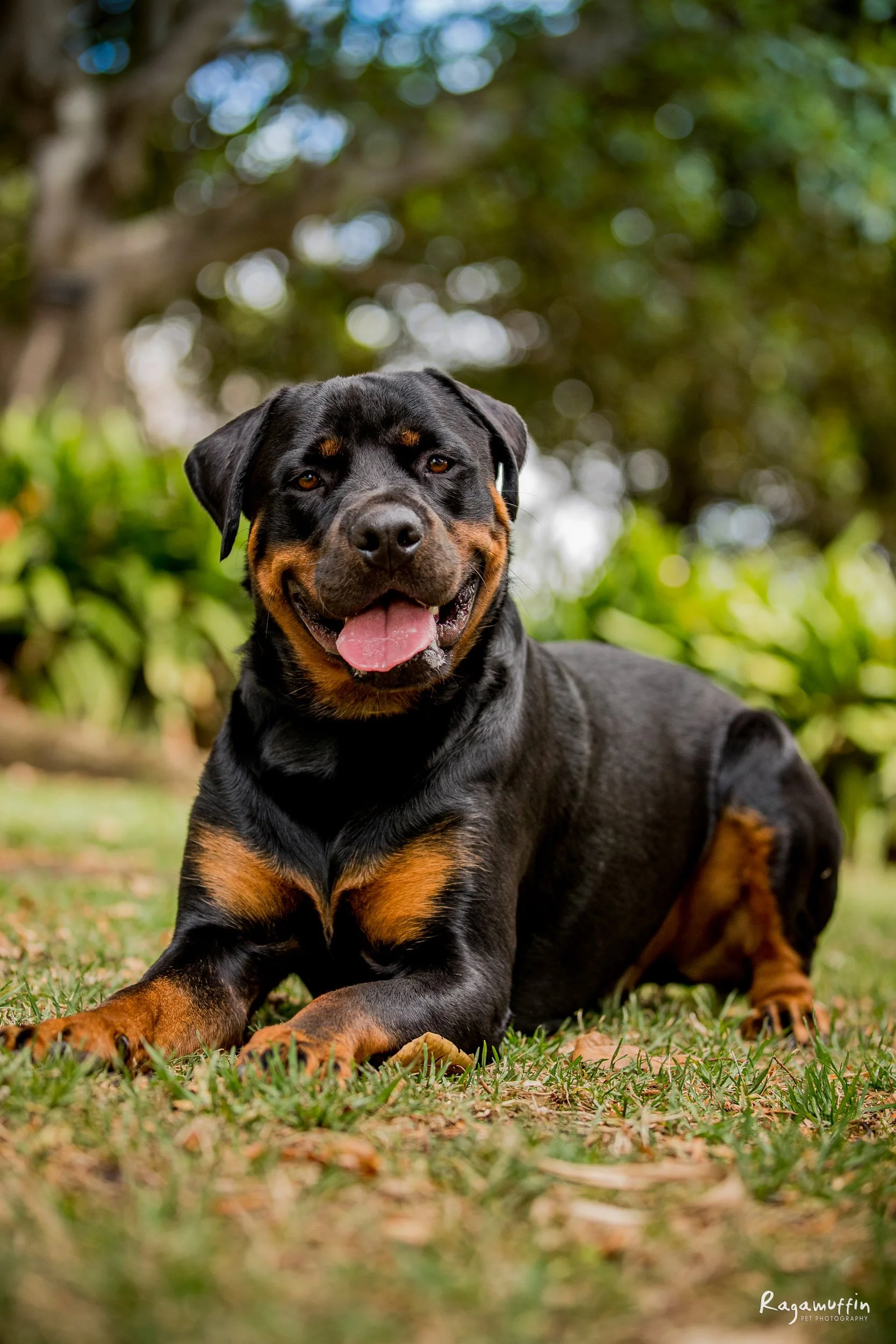 (008)_santiago_02_23_ragamuffin-leash-removal-web.jpg