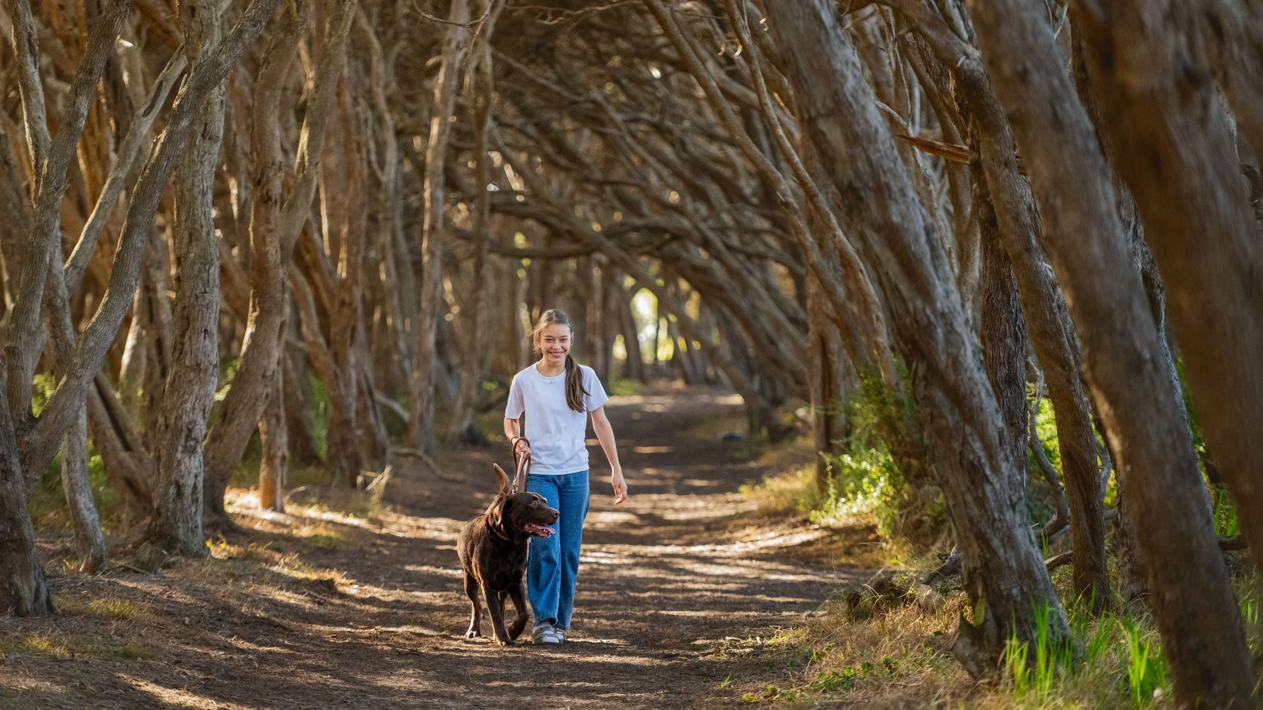 mornington-dog-photography_1-5.jpg