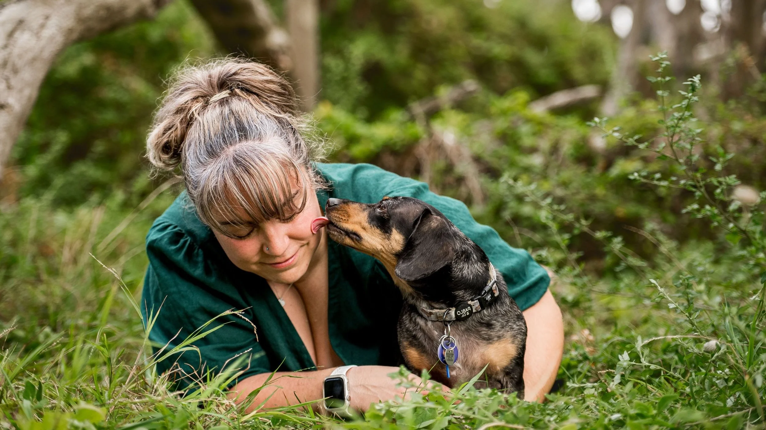 mornington-dog-photography_1-7.jpg